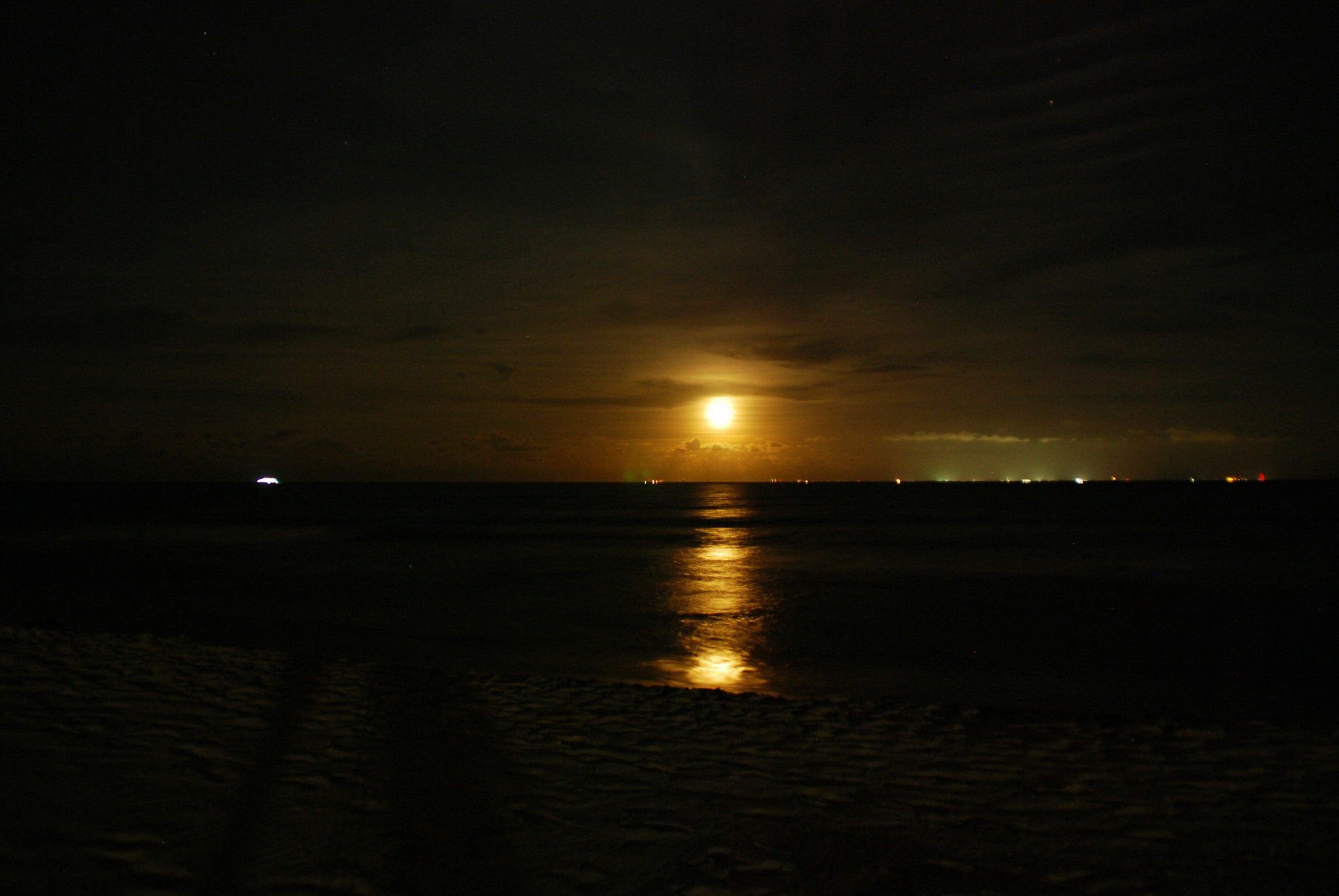 Nikon D40X sample photo