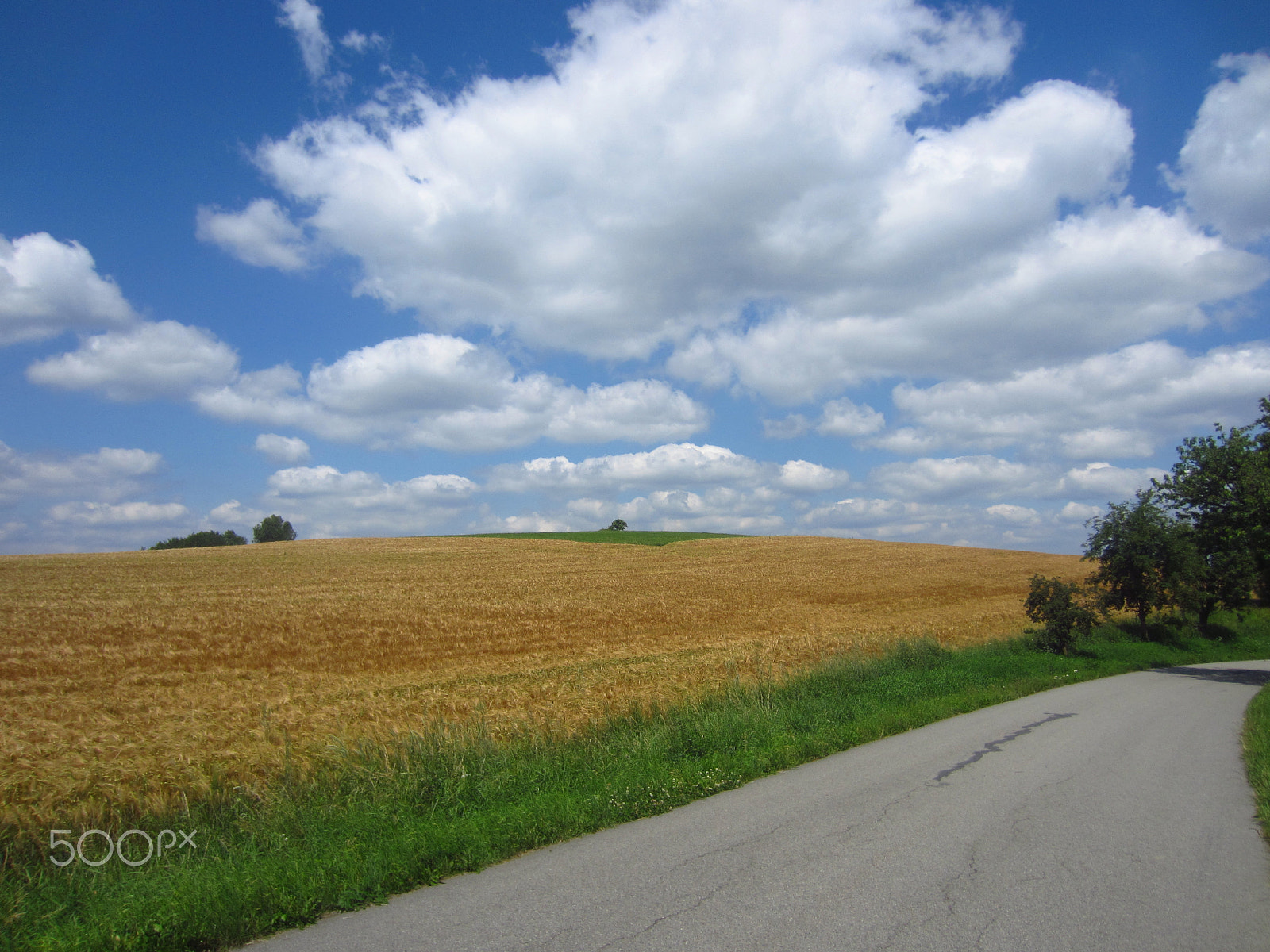 Canon PowerShot ELPH 300 HS (IXUS 220 HS / IXY 410F) sample photo. Sunny morning in summer photography
