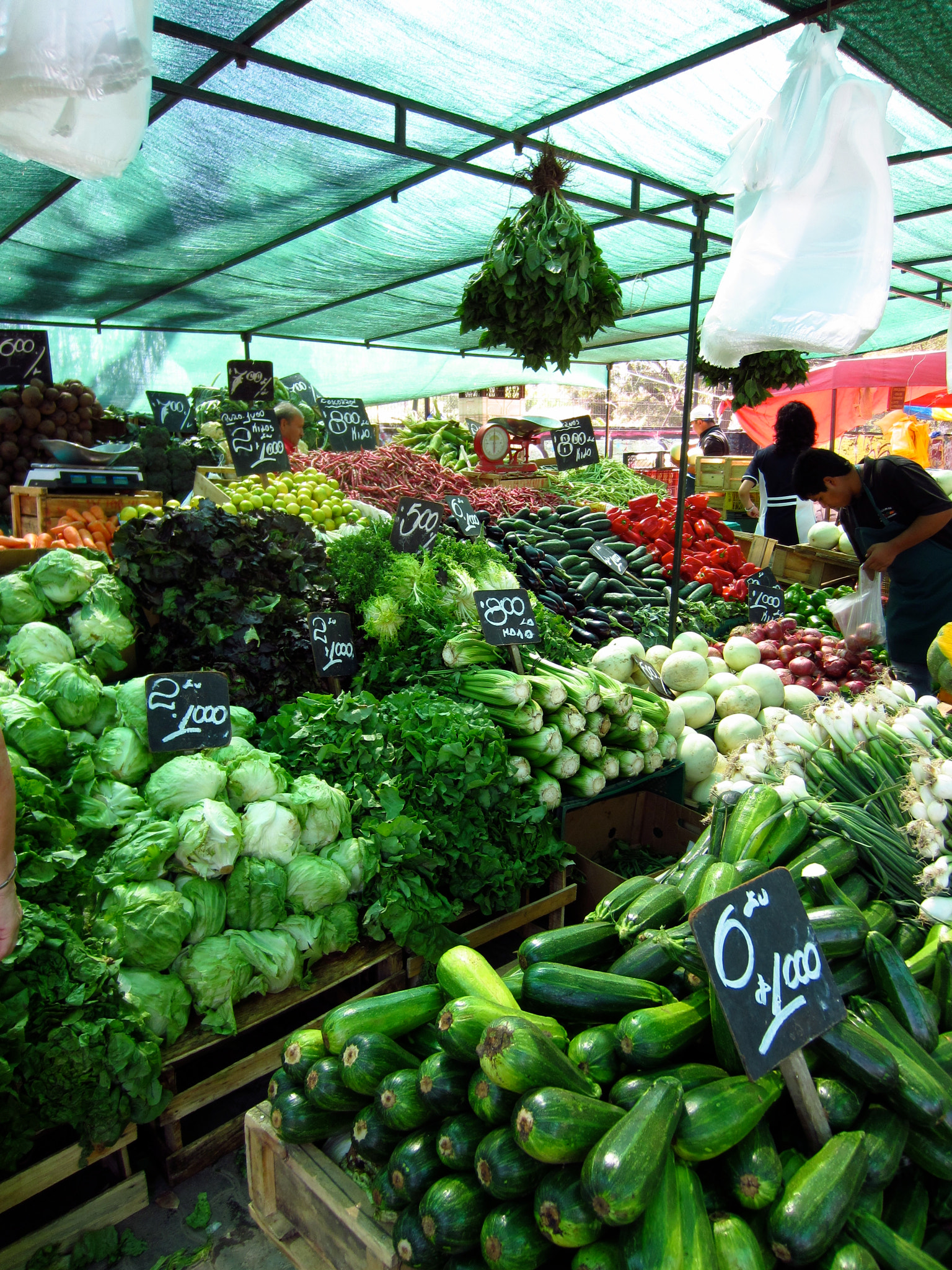 Canon PowerShot ELPH 300 HS (IXUS 220 HS / IXY 410F) sample photo. Summer market in chile photography