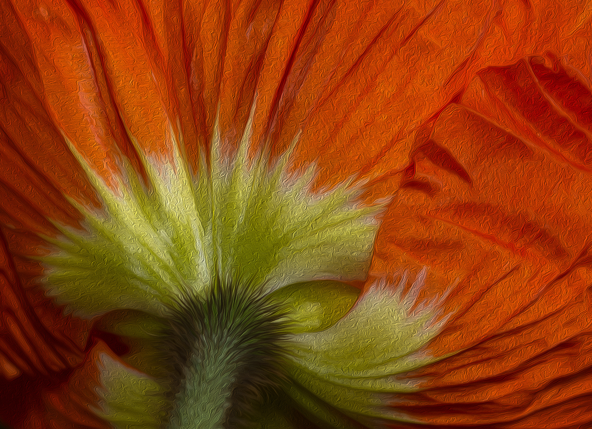 Sony SLT-A77 + 105mm F2.8 sample photo. Painted poppy photography