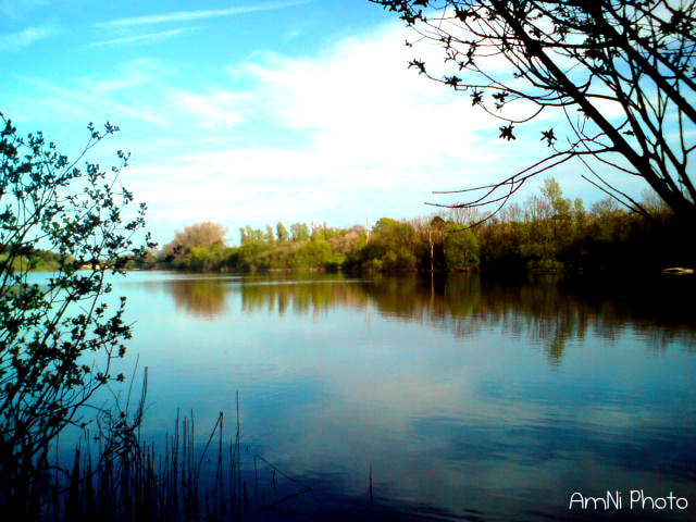 Sony Ericsson C510 sample photo. Beautiful lake photography