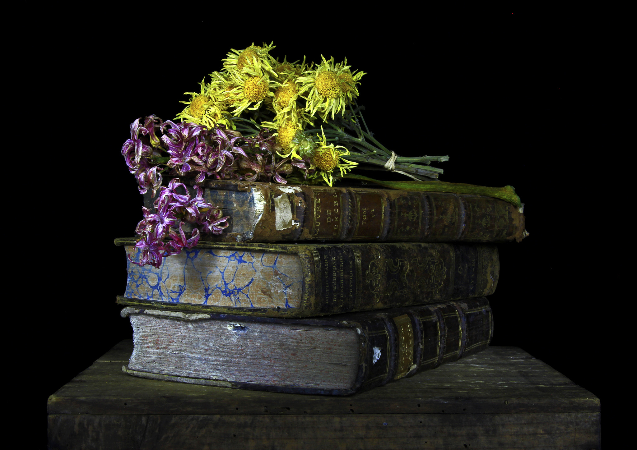 Sigma 17-70mm F2.8-4 DC Macro OS HSM sample photo. Old books photography