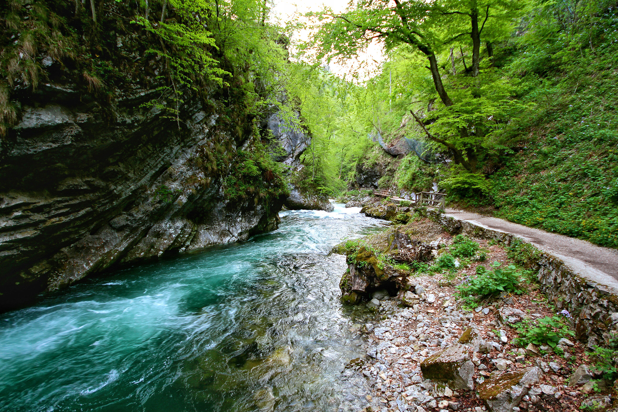 Canon EOS 650D (EOS Rebel T4i / EOS Kiss X6i) sample photo. I live for the national parks around the world   photography