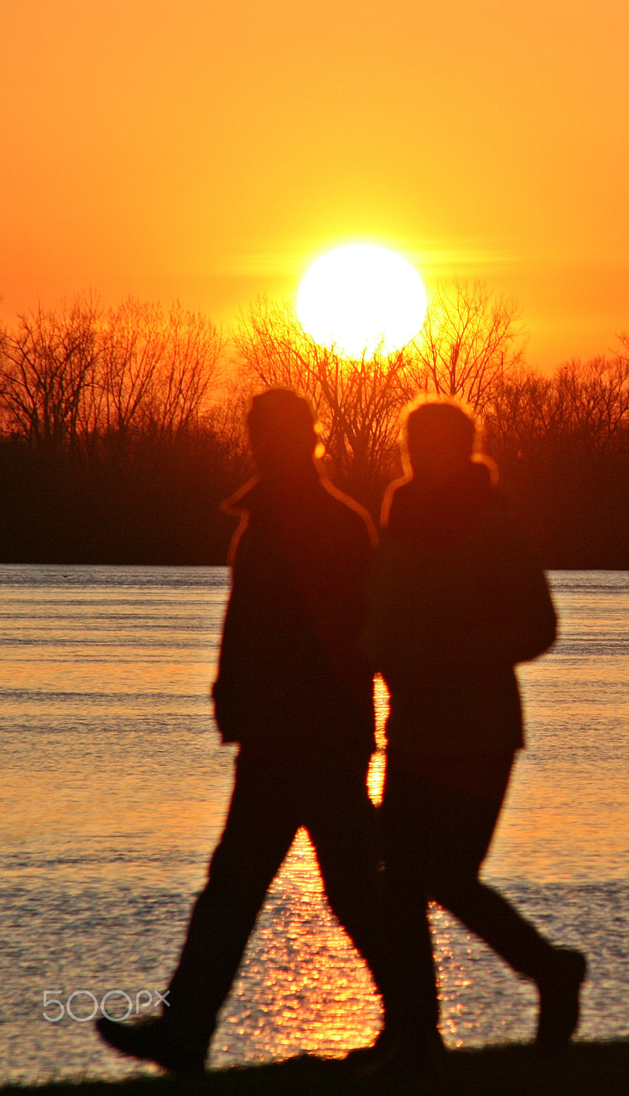 Canon EOS 5D + Canon EF75-300mm f/4-5.6 USM sample photo. Promenade avant coucher. photography