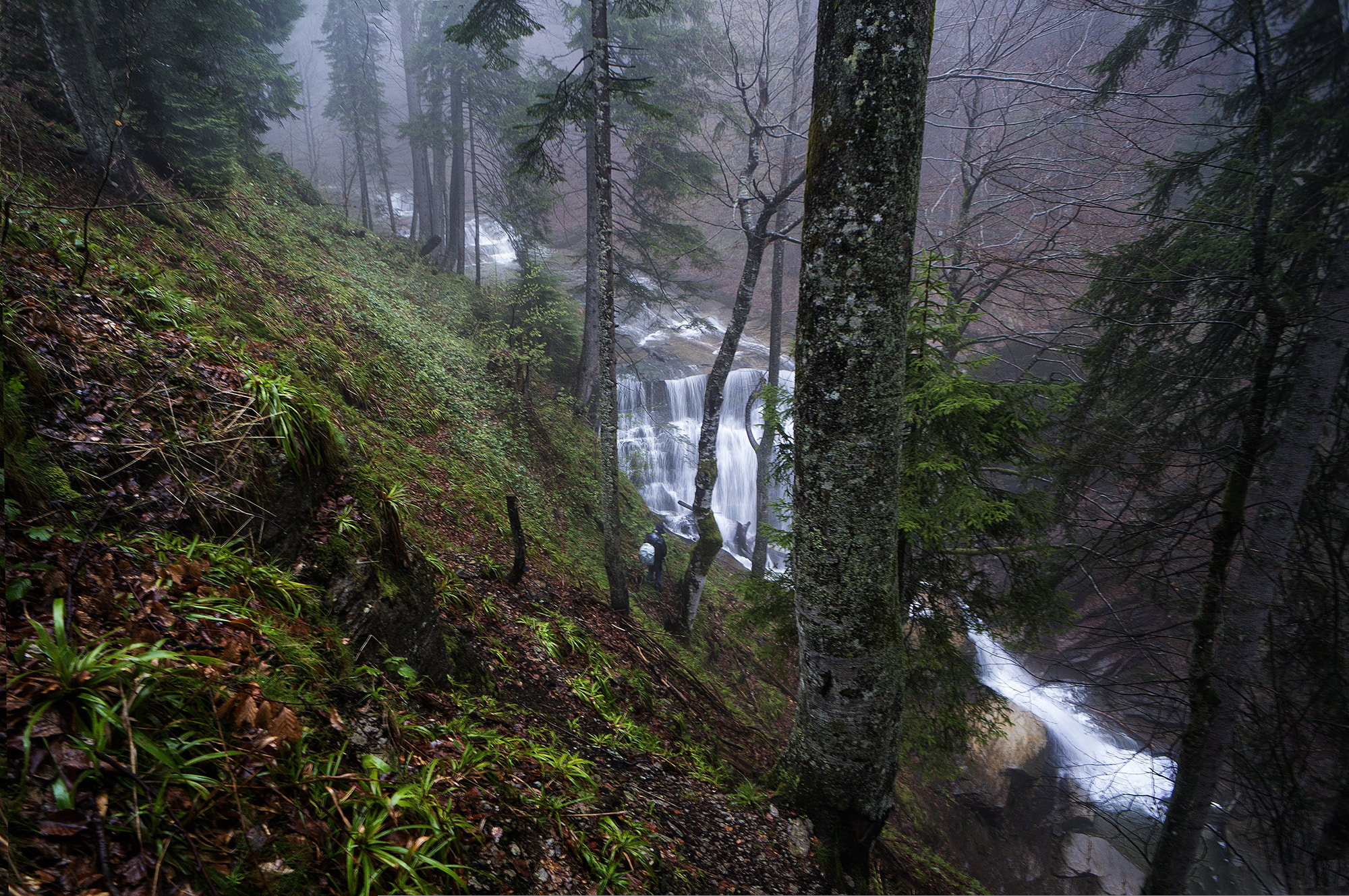 Sony Alpha NEX-5R + Sony E 16mm F2.8 sample photo. Kozice photography