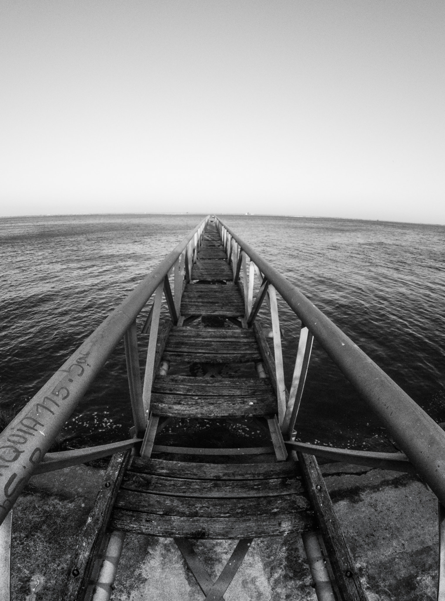 Nikon D3200 + Samyang 8mm F3.5 Aspherical IF MC Fisheye sample photo. _dsc5036.jpg photography