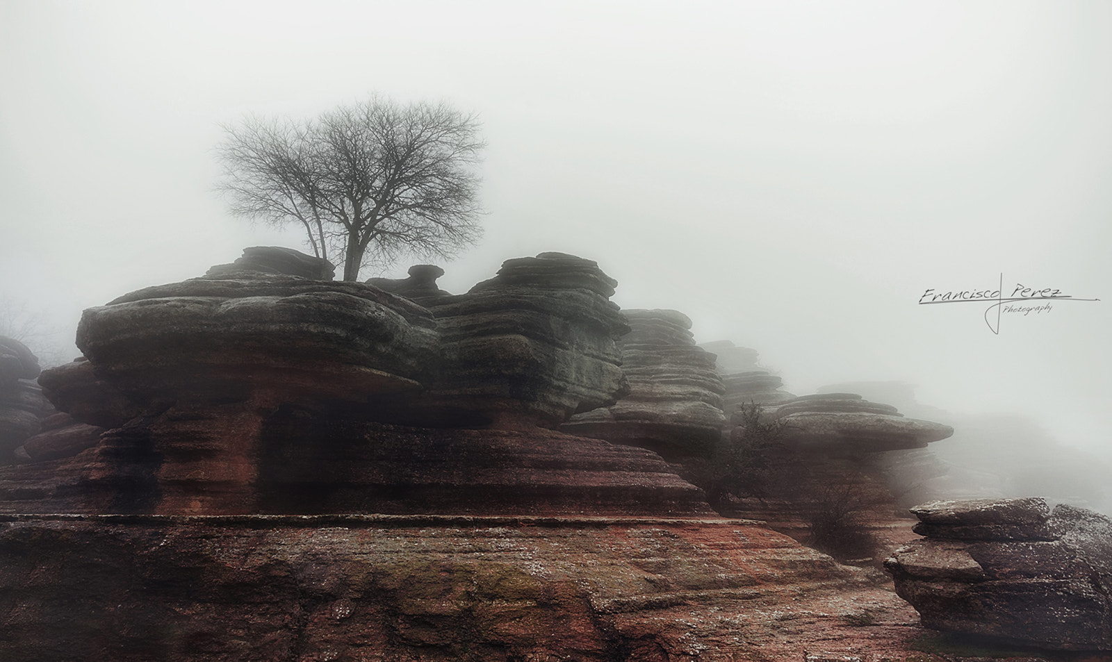 Pentax smc DA 14mm F2.8 ED (IF) sample photo. Only in the mist. photography