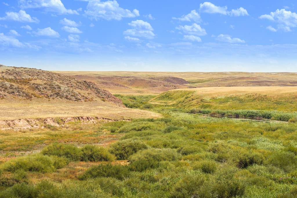 The River Sary-Turgai by Dmitrij Oskirko on 500px.com