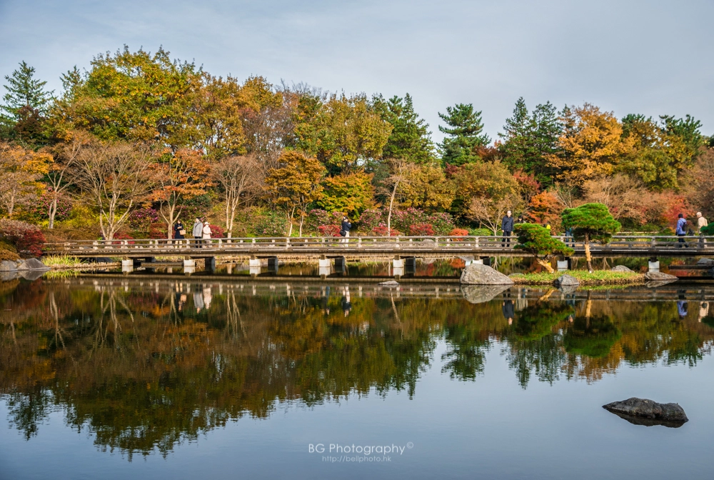 Sony a7 + Canon EF 85mm F1.2L II USM sample photo. 秋.六義園 photography