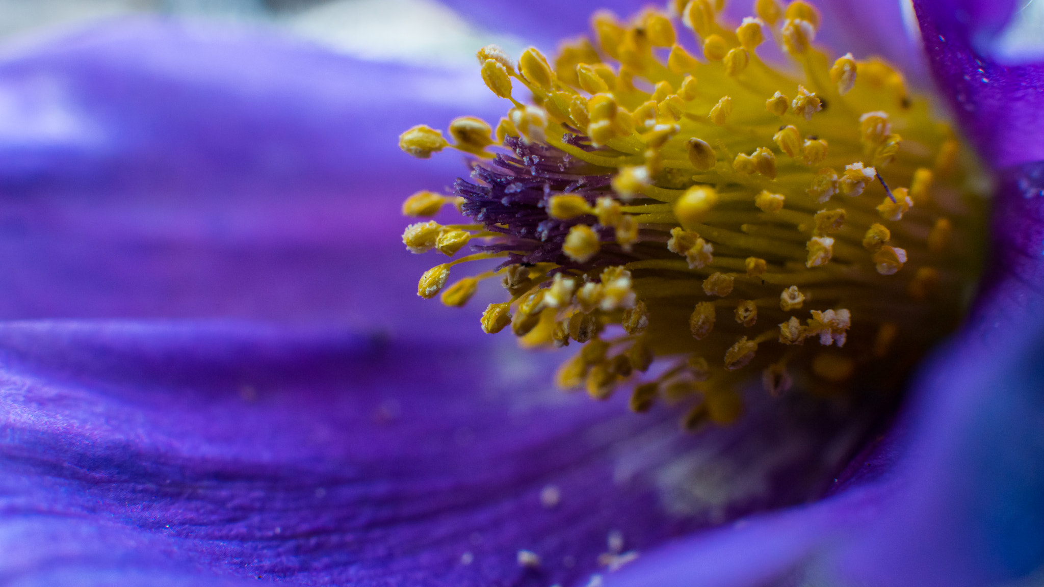 Sony SLT-A77 + Sigma 50mm F1.4 EX DG HSM sample photo. *** photography
