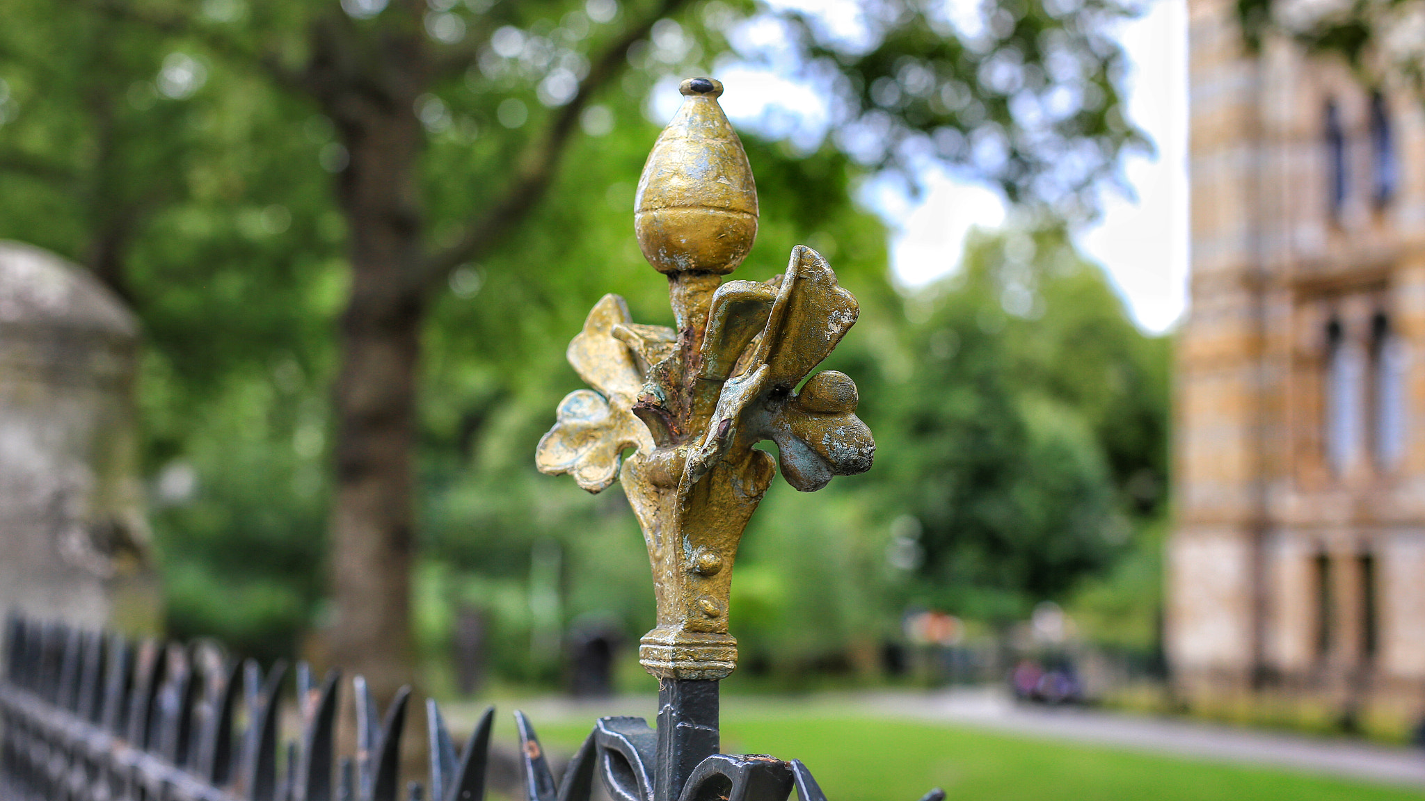 Canon 50mm sample photo