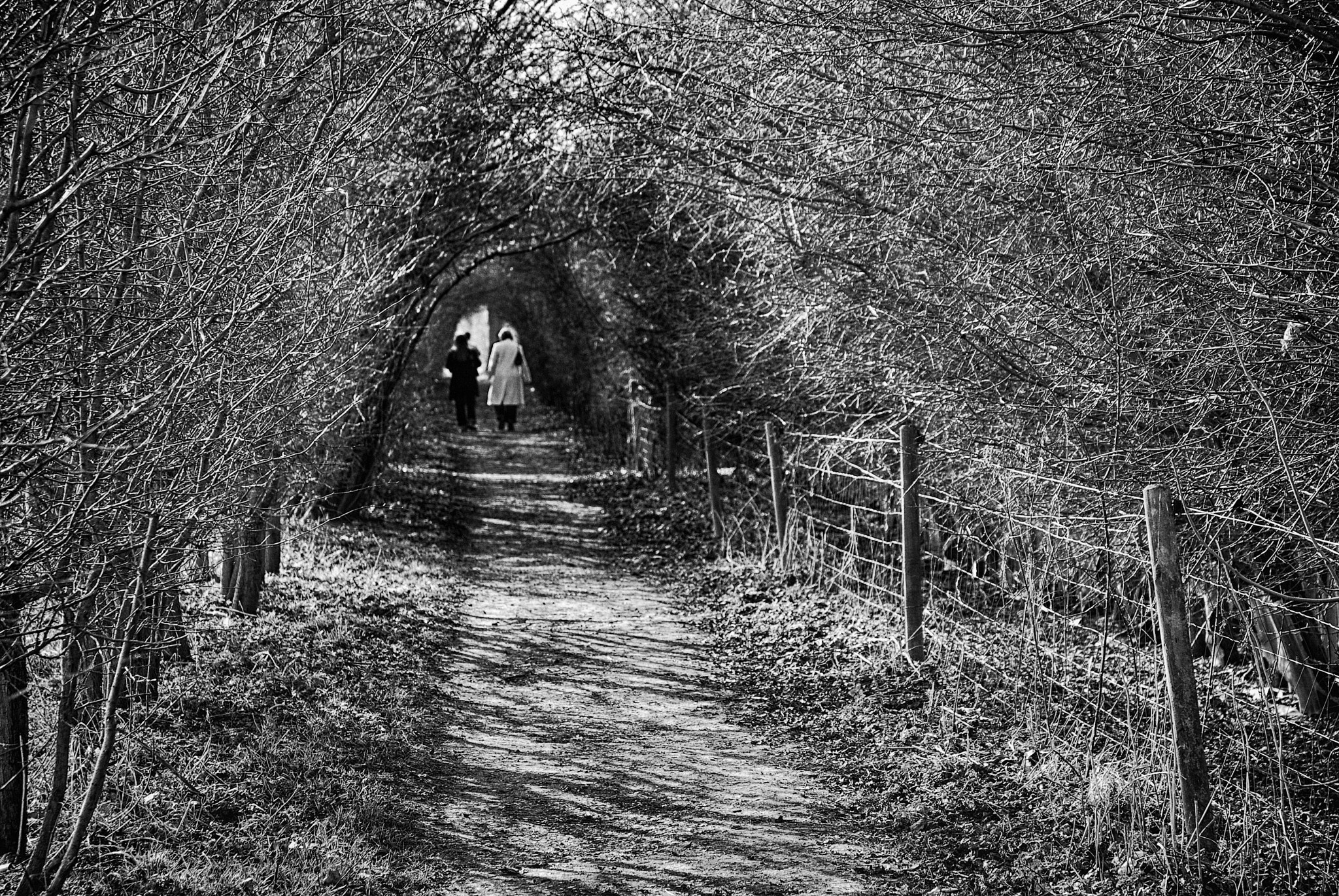 Nikon D40X sample photo. Autumn stroll photography