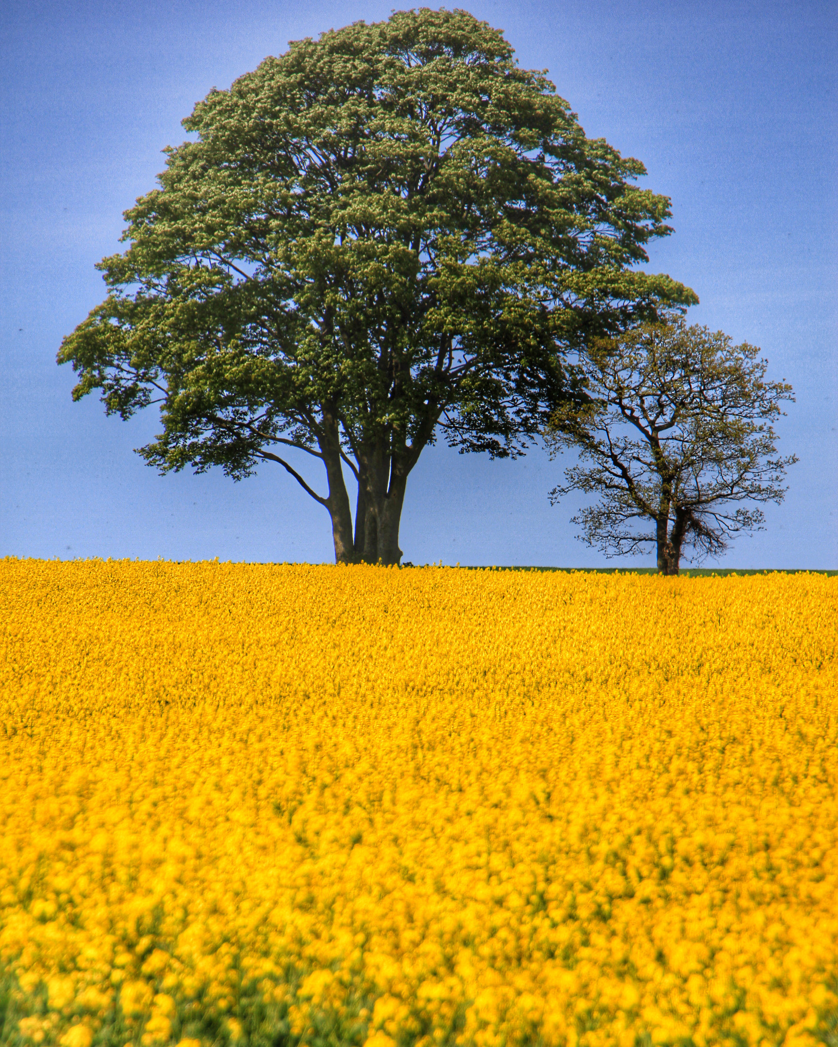 Canon EOS 7D + Canon 18-270mm sample photo. A view on the way into work today photography