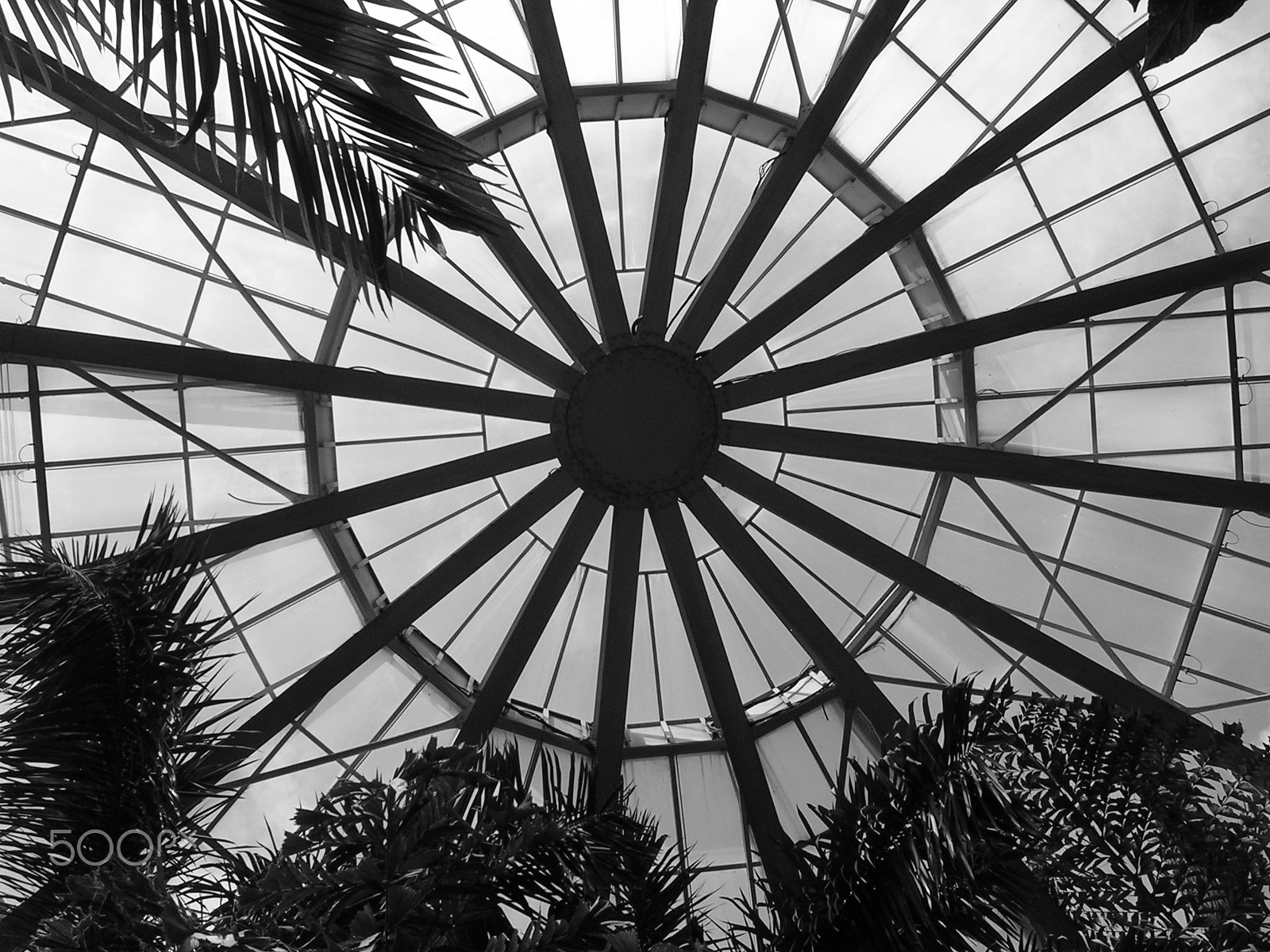 Nikon E3200 sample photo. Greenhouse, nice, france photography