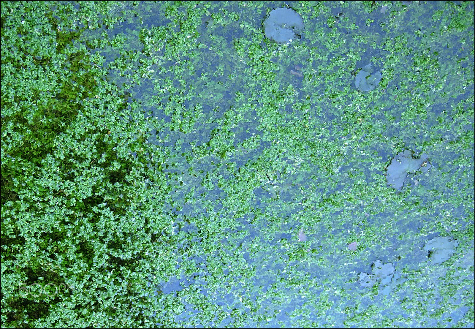 Nikon COOLPIX P4 sample photo. Blue-green abstract photography