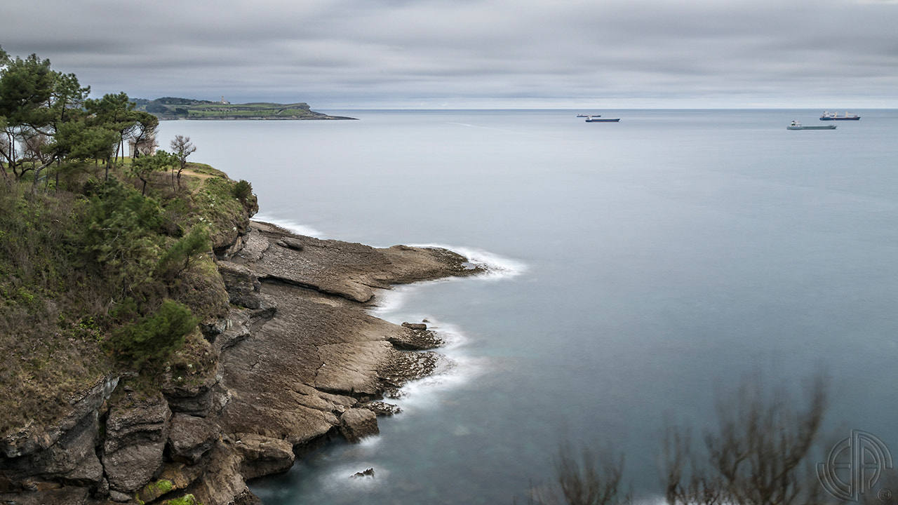 Nikon D90 + Sigma 17-70mm F2.8-4 DC Macro OS HSM | C sample photo. Copia photography