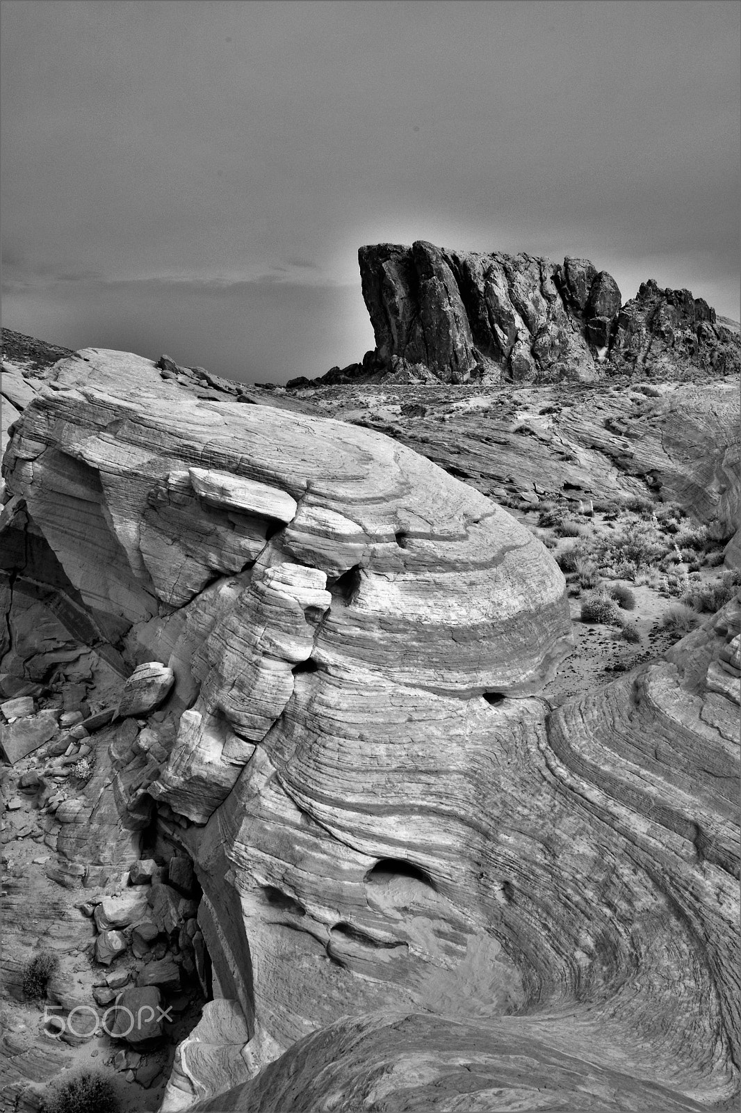 Nikon D3X sample photo. The wave in infrared 4 photography