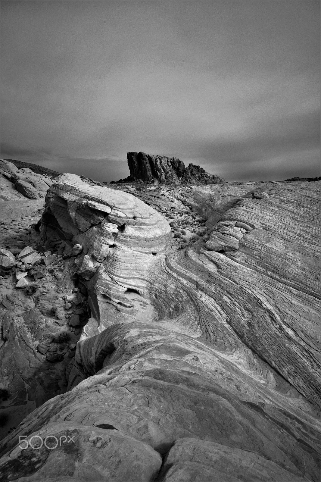 Nikon D3X sample photo. The wave in infrared photography