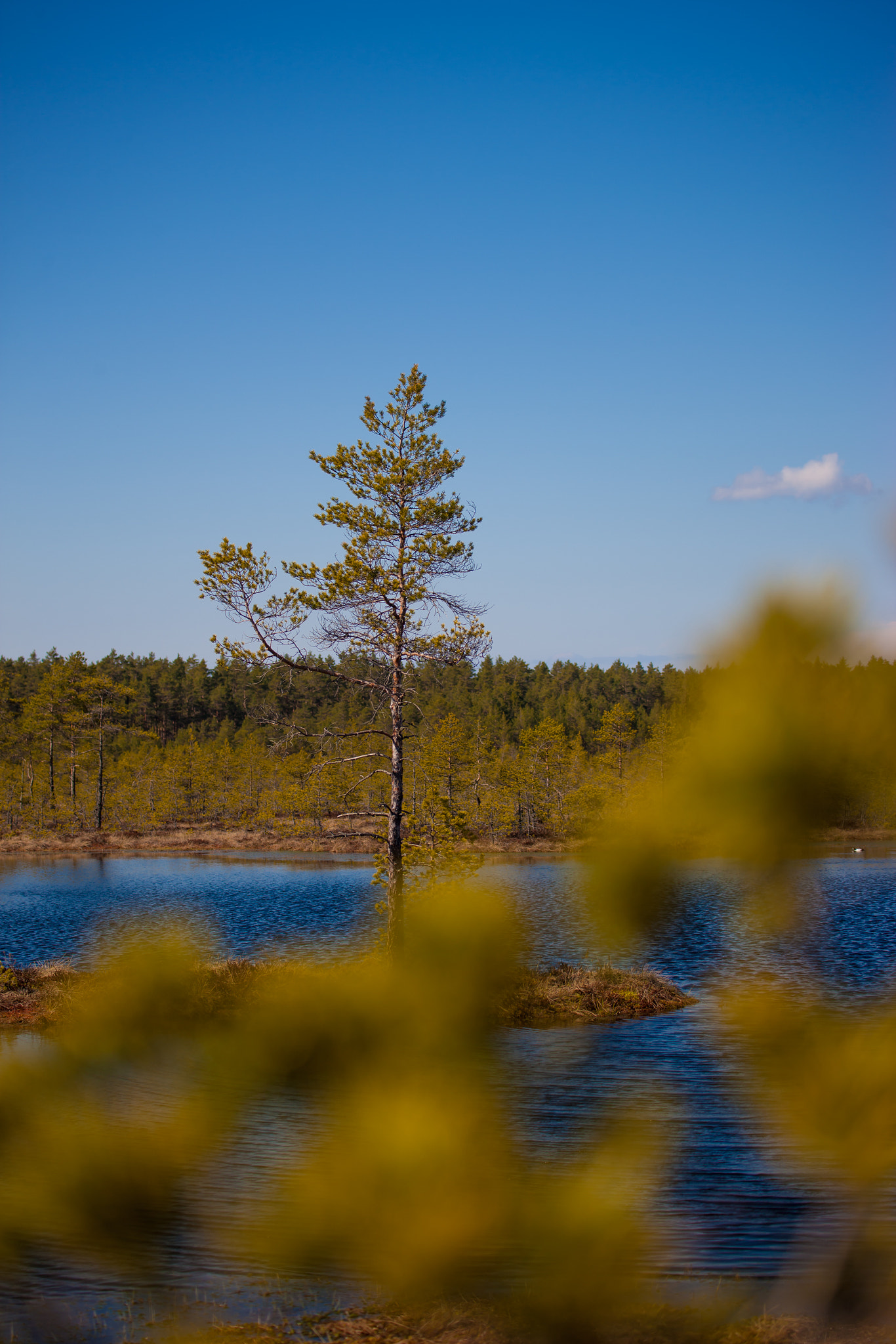 Canon EOS-1Ds Mark III sample photo. Imgl2121.jpg photography