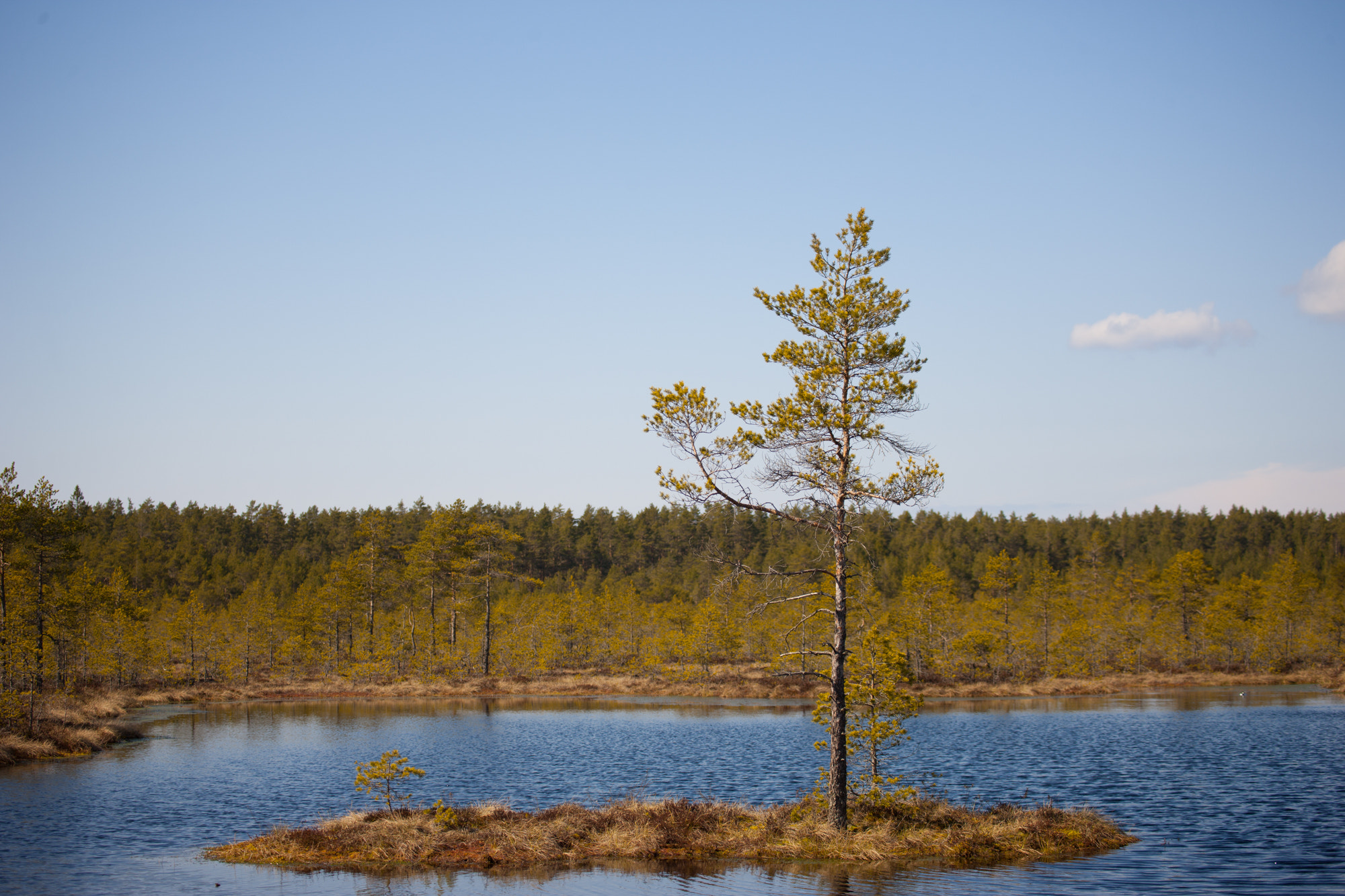 Canon EOS-1Ds Mark III sample photo. Imgl2122.jpg photography