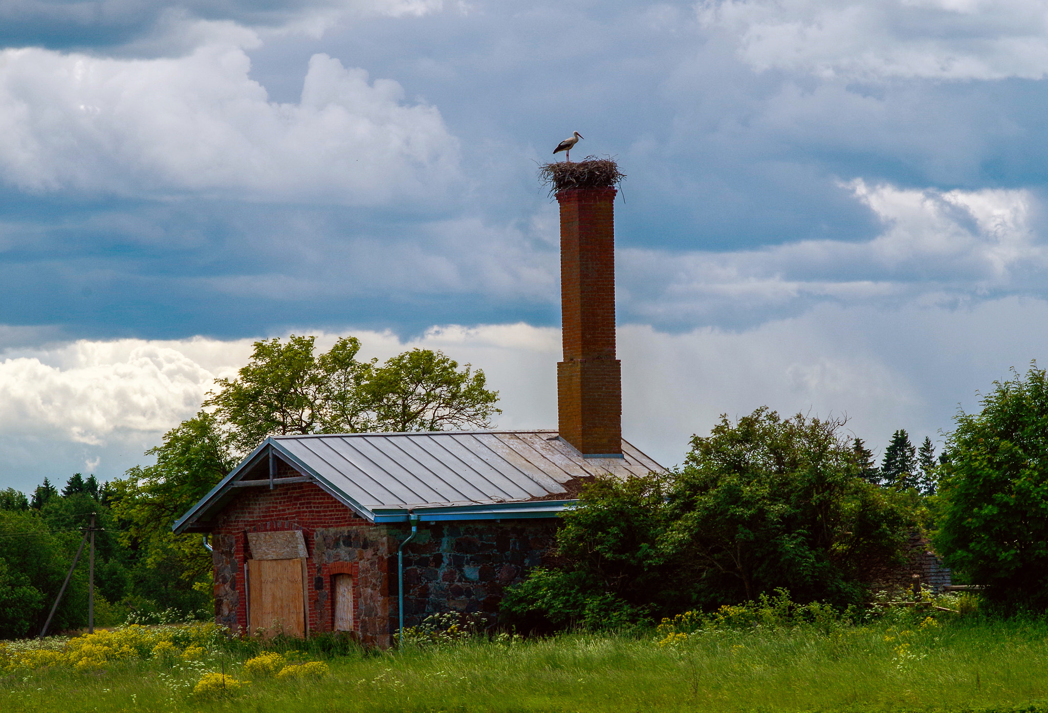 Pentax K-30 sample photo. Stork on top photography