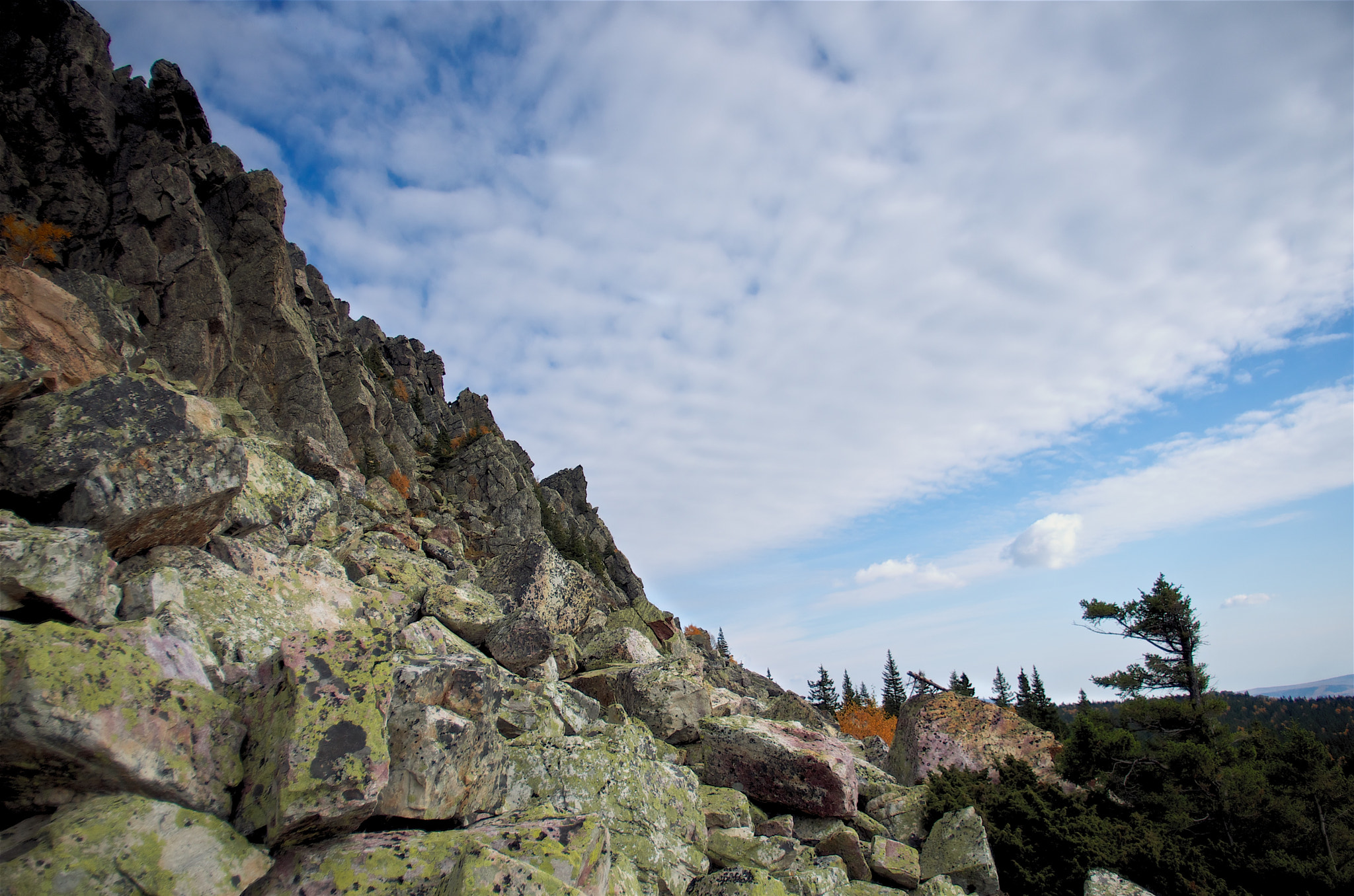 Pentax smc DA 15mm F4 ED AL Limited sample photo. откликной photography
