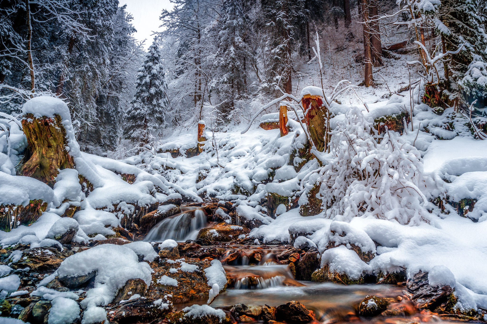 Canon EOS 5DS sample photo. Winter wengen land photography