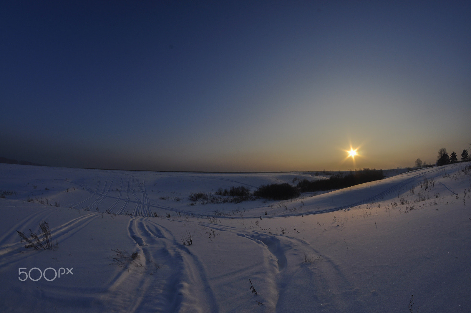 Nikon D90 + Samyang 8mm F3.5 Aspherical IF MC Fisheye sample photo. _dsc0290.jpg photography