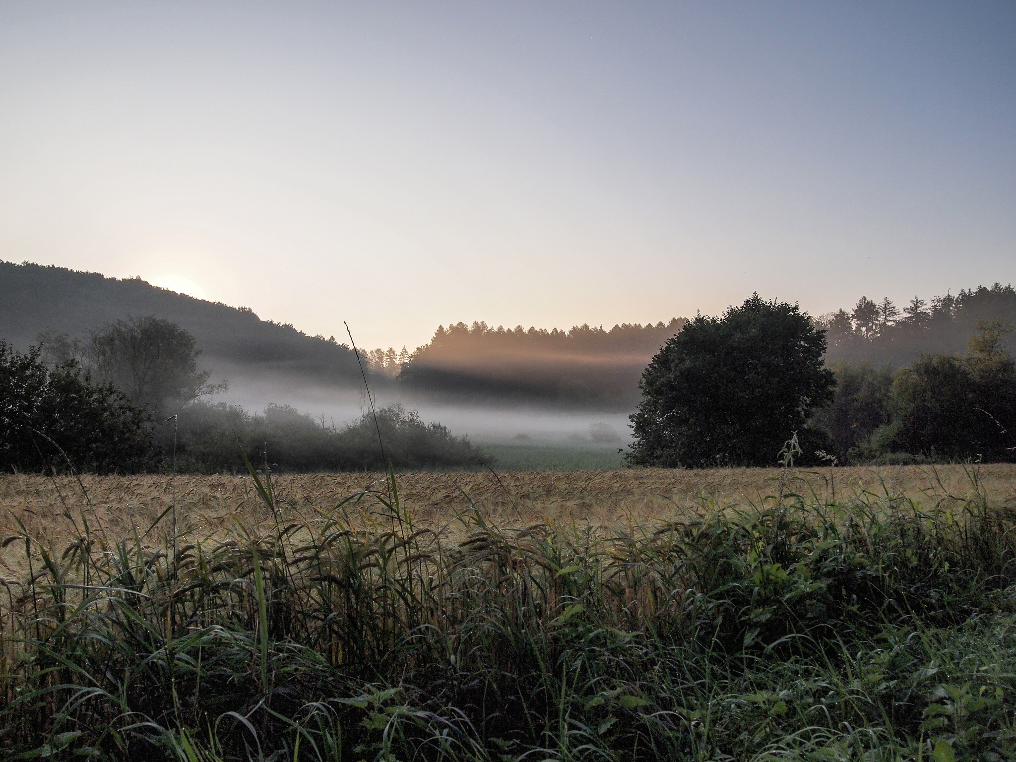 Olympus PEN E-PL2 sample photo. Field in the morning photography