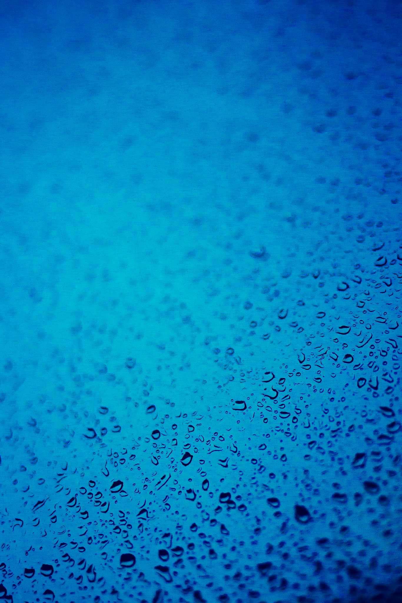 Canon EF 35mm F2 IS USM sample photo. Blue drops photography