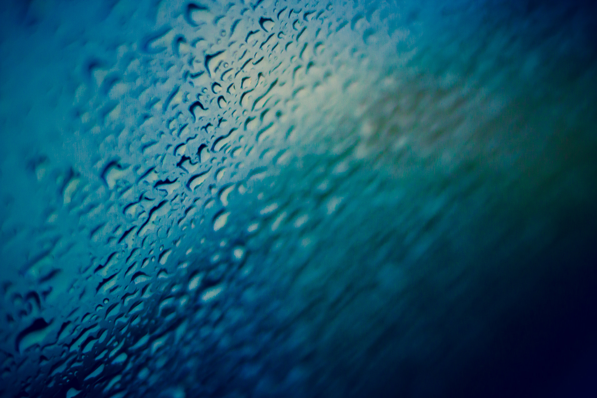 Canon EF 35mm F2 IS USM sample photo. Rainy day photography
