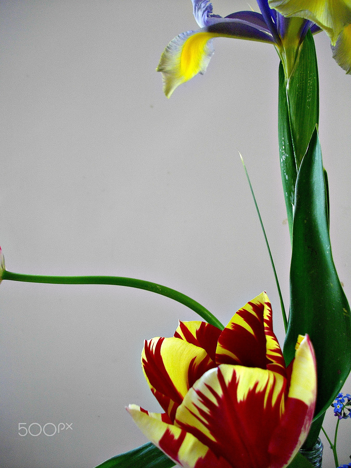 Pentax Optio E60 sample photo. A zen moment photography