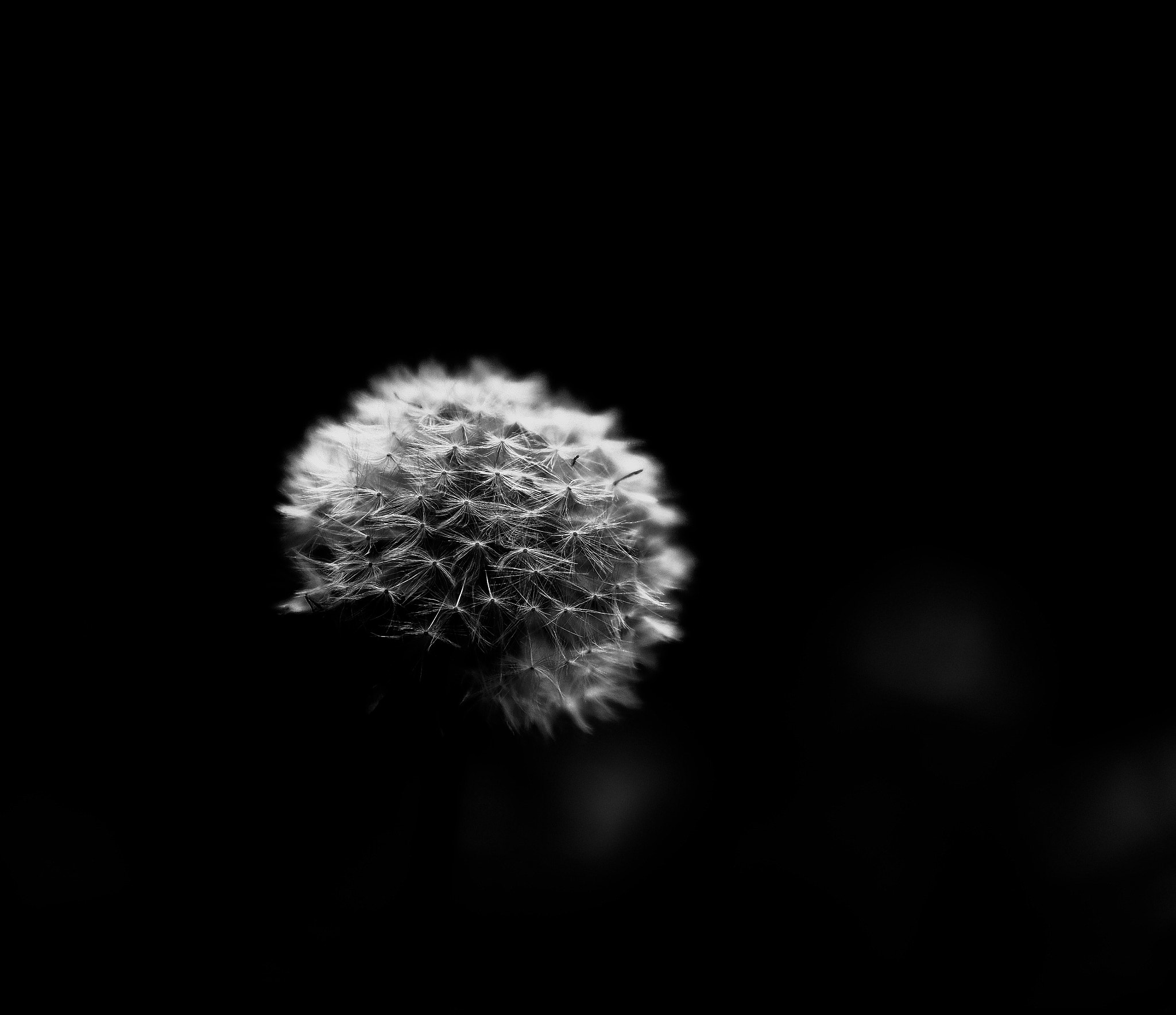 Panasonic Leica DG Nocticron 42.5mm F1.2 ASPH OIS sample photo. In the dark photography