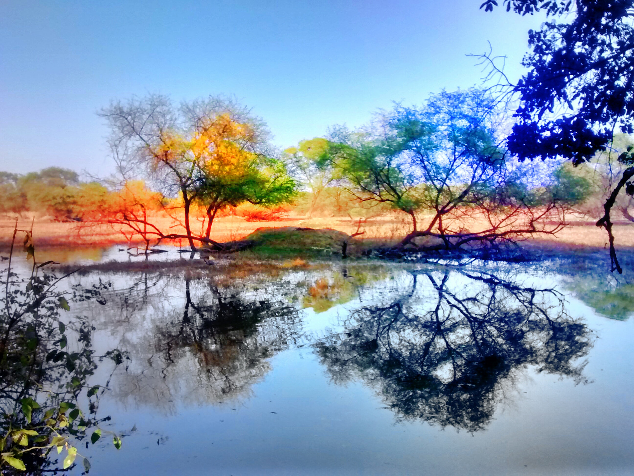 Motorola Moto G sample photo. Black lake, blue skies.jpeg photography