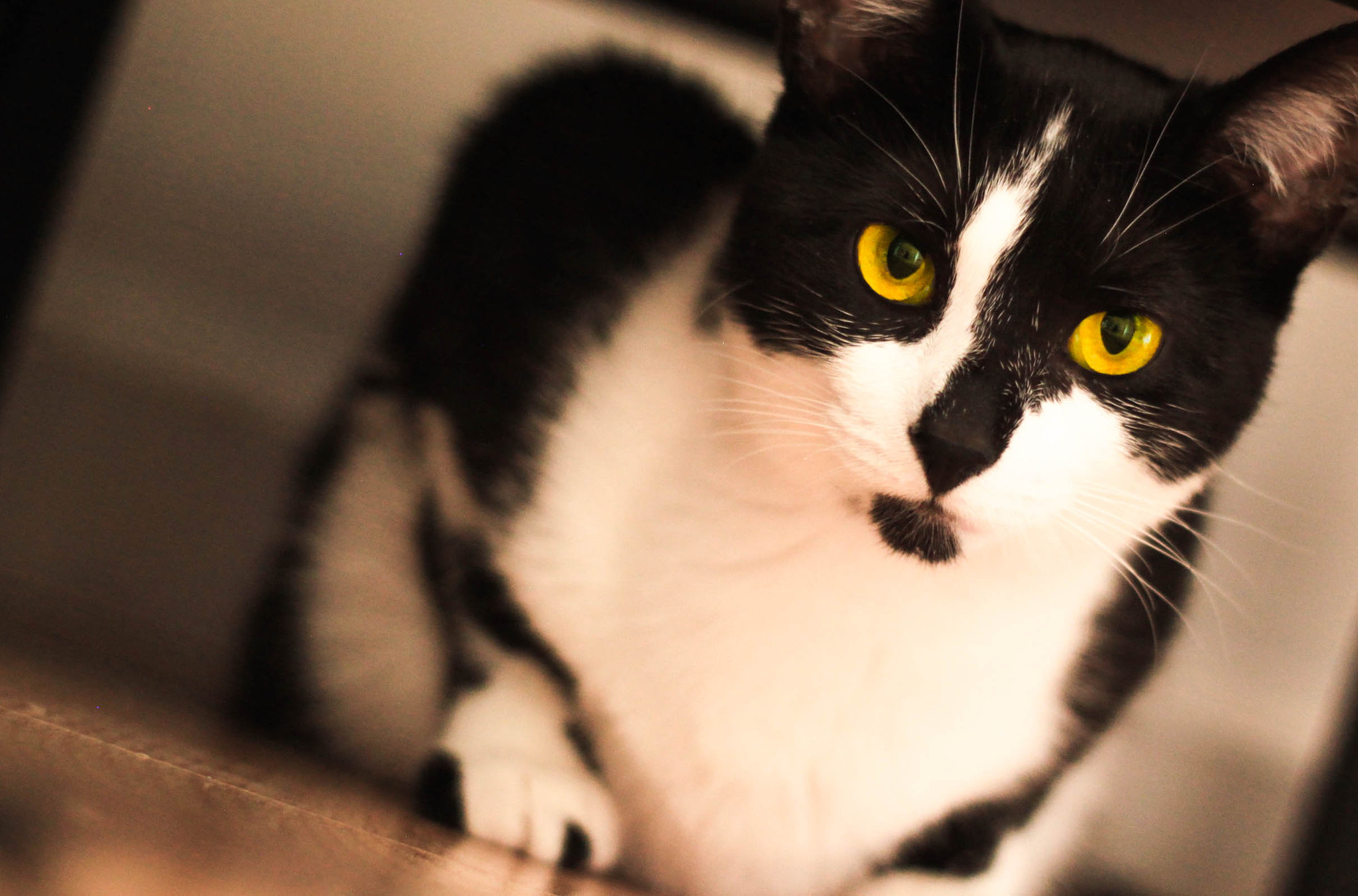 Canon EOS 50D + Canon EF 50mm f/1.8 sample photo. Glare photography