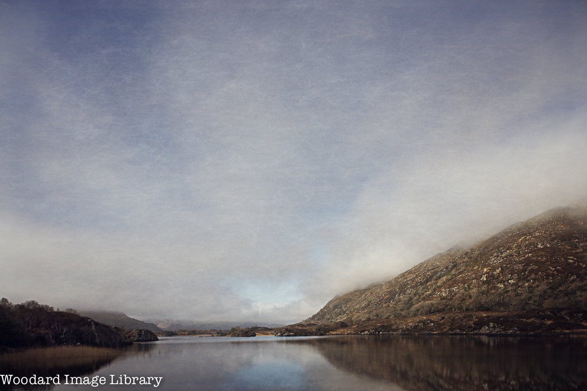 Canon TS-E 24mm f/3.5L sample photo. Eagles nest in the mist photography
