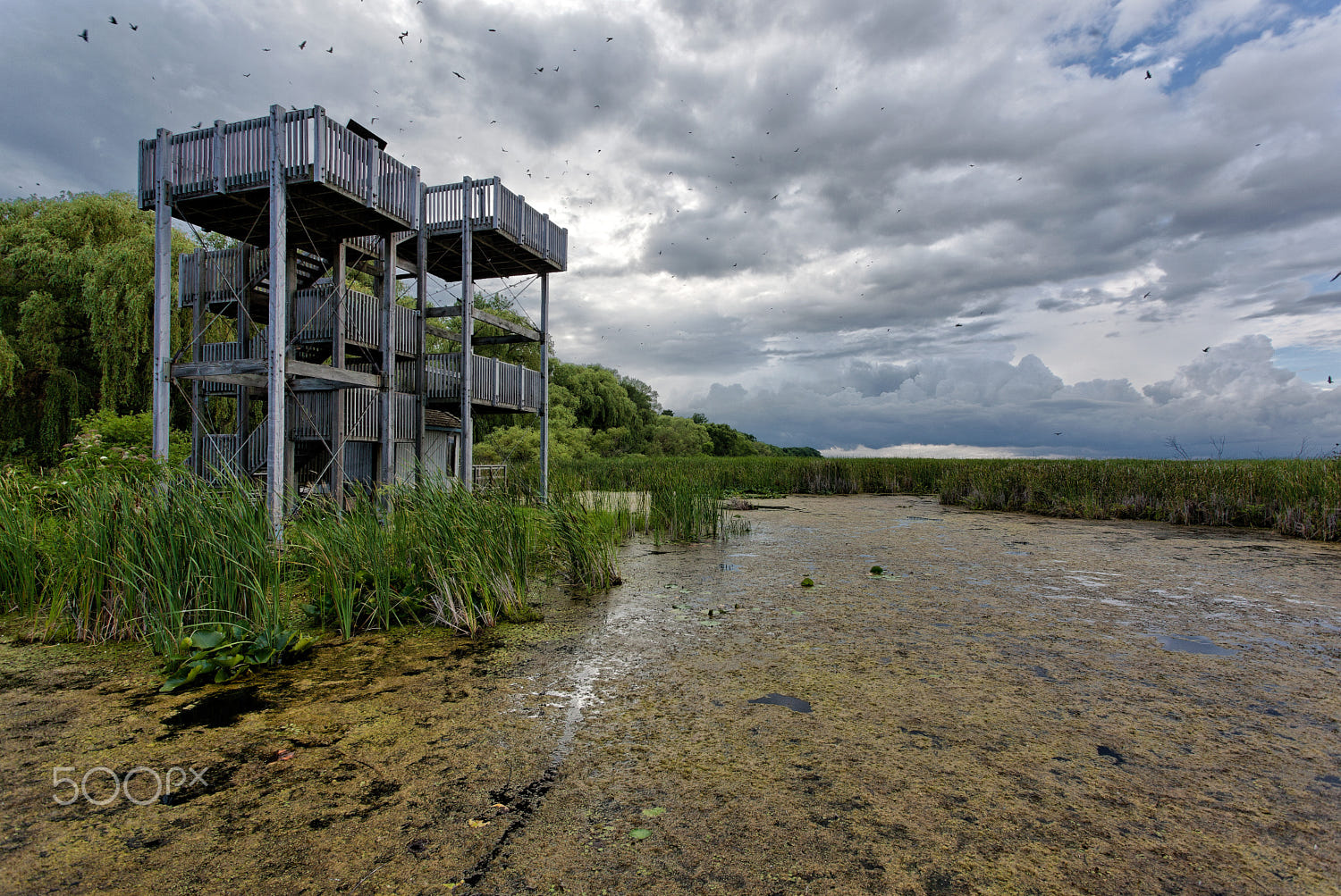 Viewing Tower at Point Pelee National Park's Marsh by Ray Akey / 500px