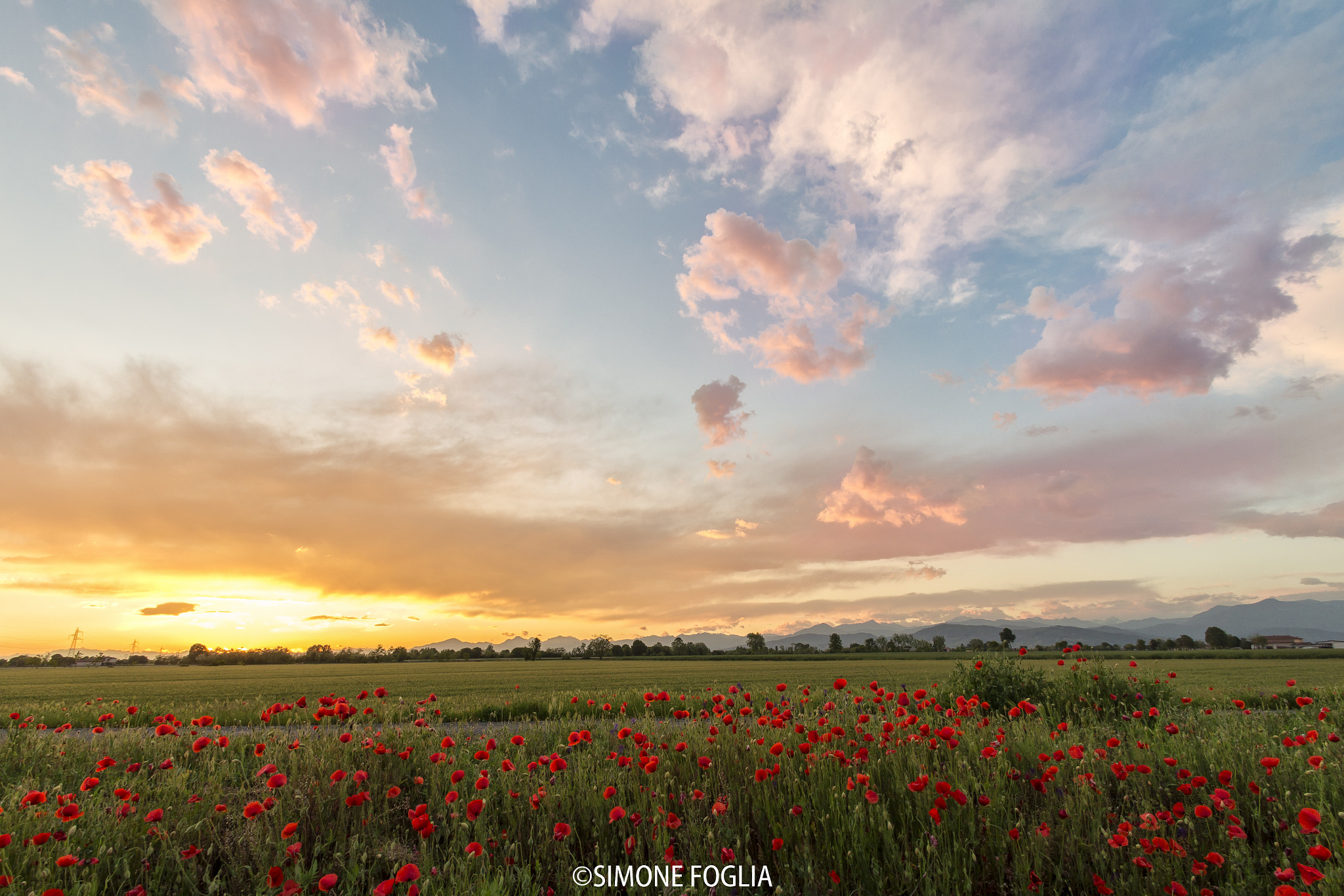 Sigma 10-20mm F3.5 EX DC HSM sample photo. Country road photography