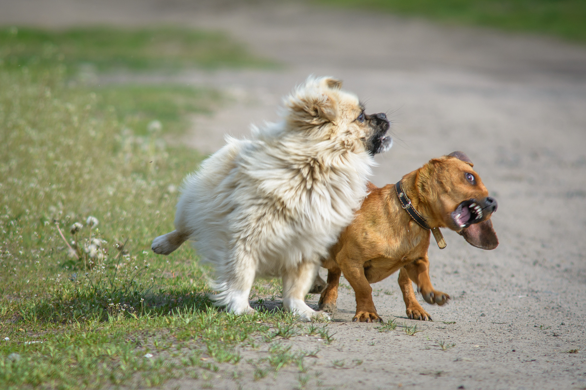 Nikon D7100 + AF Zoom-Nikkor 70-210mm f/4 sample photo. Друзья photography