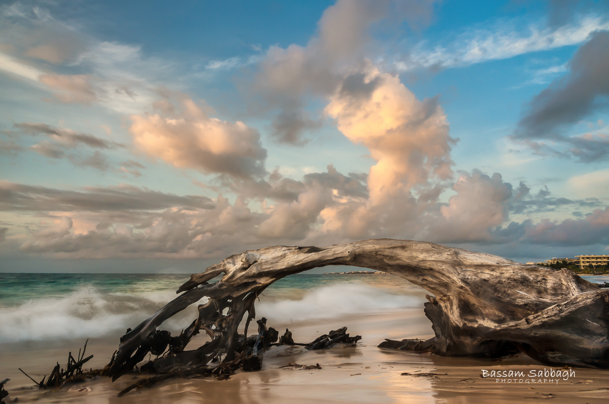 Sony Alpha NEX-6 + Sony E 18-200mm F3.5-6.3 OSS LE sample photo. Driftwood waves photography