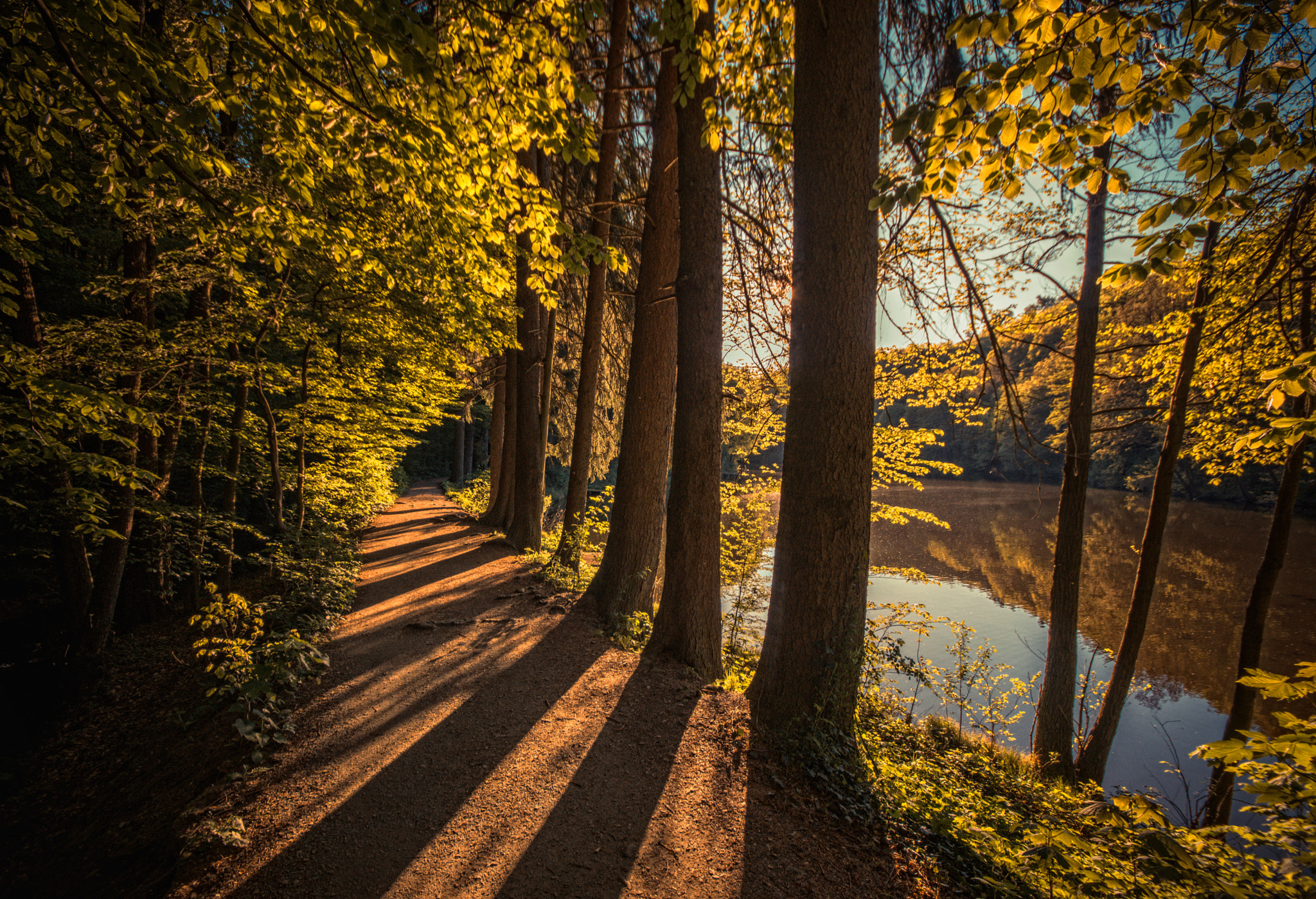 Sigma AF 10-20mm F4-5.6 EX DC sample photo. Green alley photography