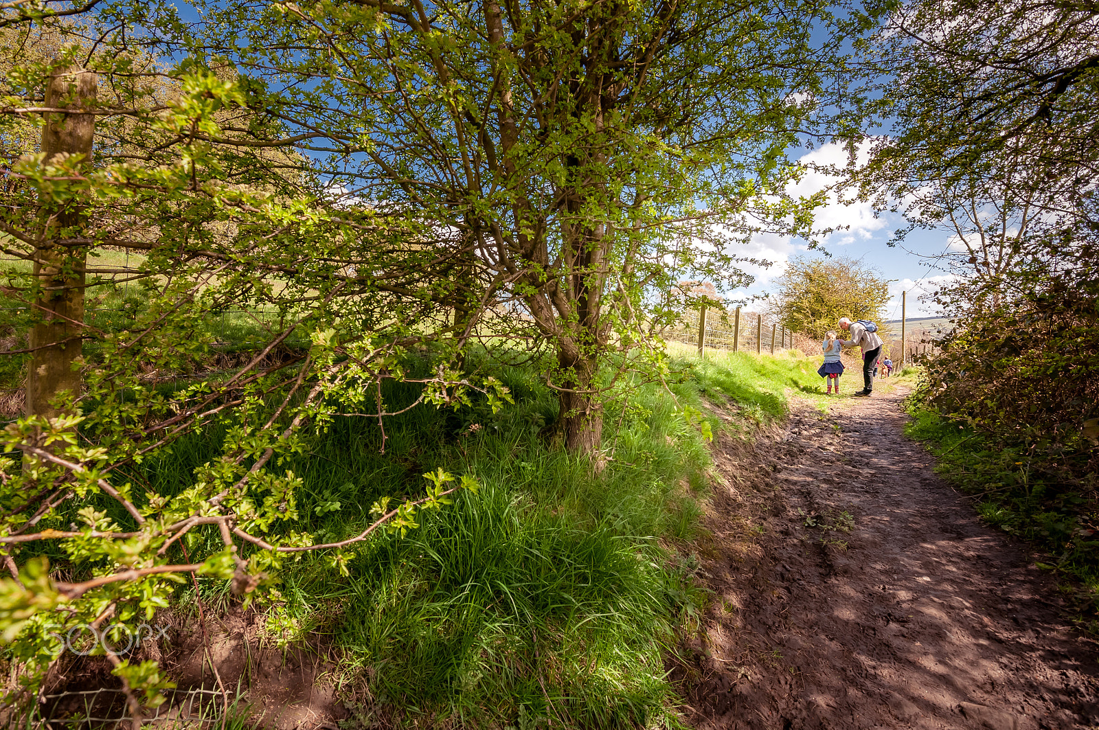 Nikon D90 + Tokina AT-X 11-20 F2.8 PRO DX (AF 11-20mm f/2.8) sample photo. Walking in riddlesden photography