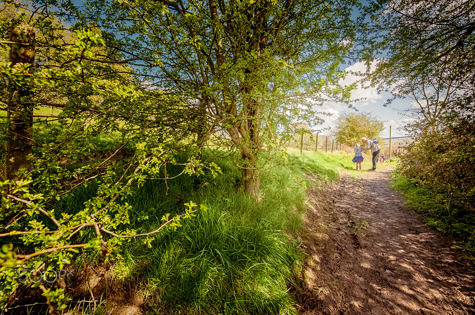 Nikon D90 + Tokina AT-X 11-20 F2.8 PRO DX (AF 11-20mm f/2.8) sample photo. Walking in riddlesden photography