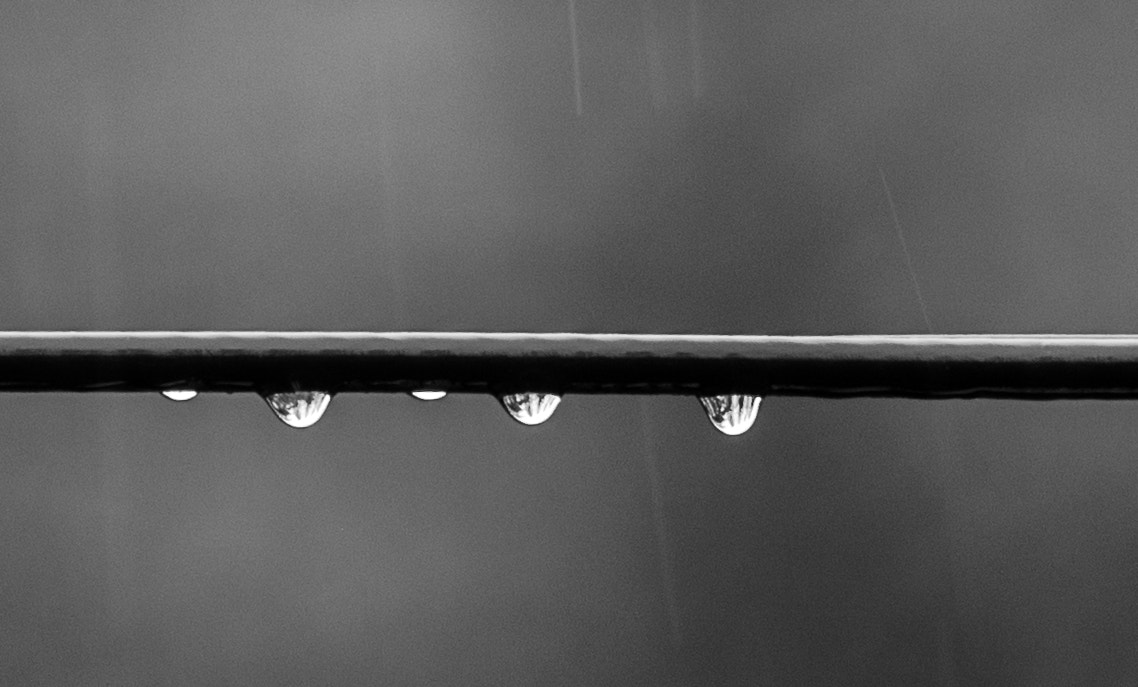 Canon EF 70-300mm F4-5.6L IS USM sample photo. Clinging to a cold wire photography