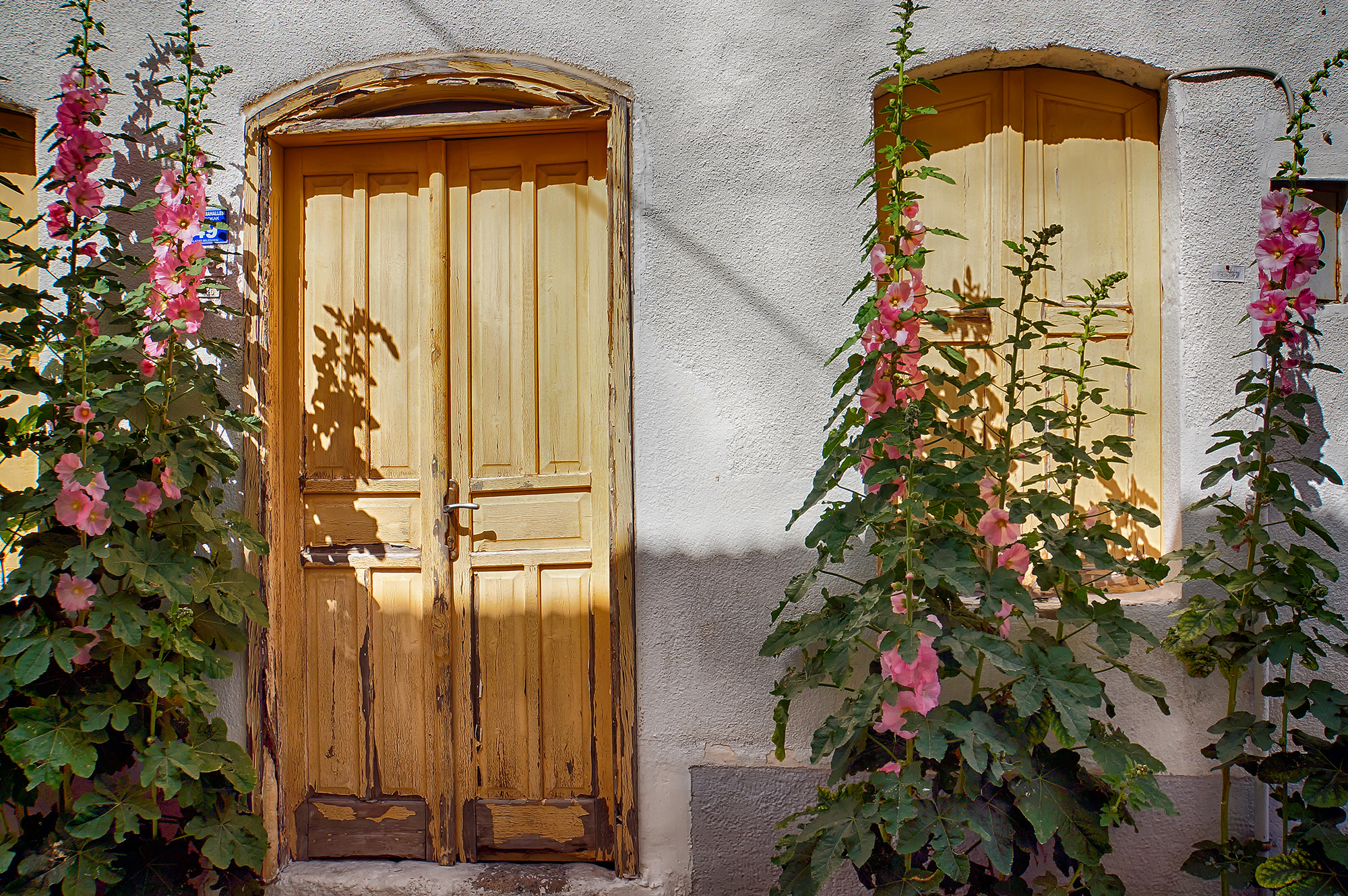 Sony E 18-200mm F3.5-6.3 OSS sample photo. Yellow doors photography