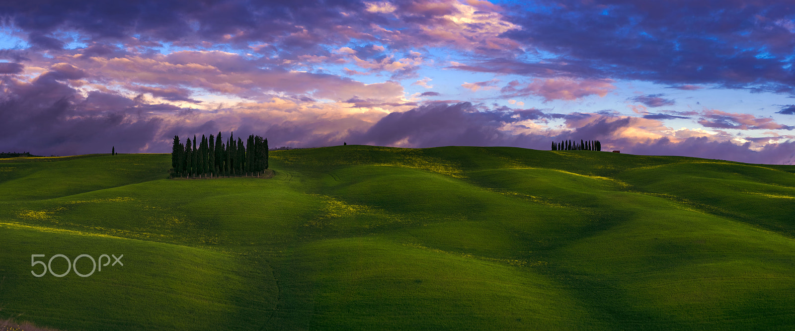 Nikon AF-Nikkor 80-200mm F2.8D ED sample photo. Toscana photography