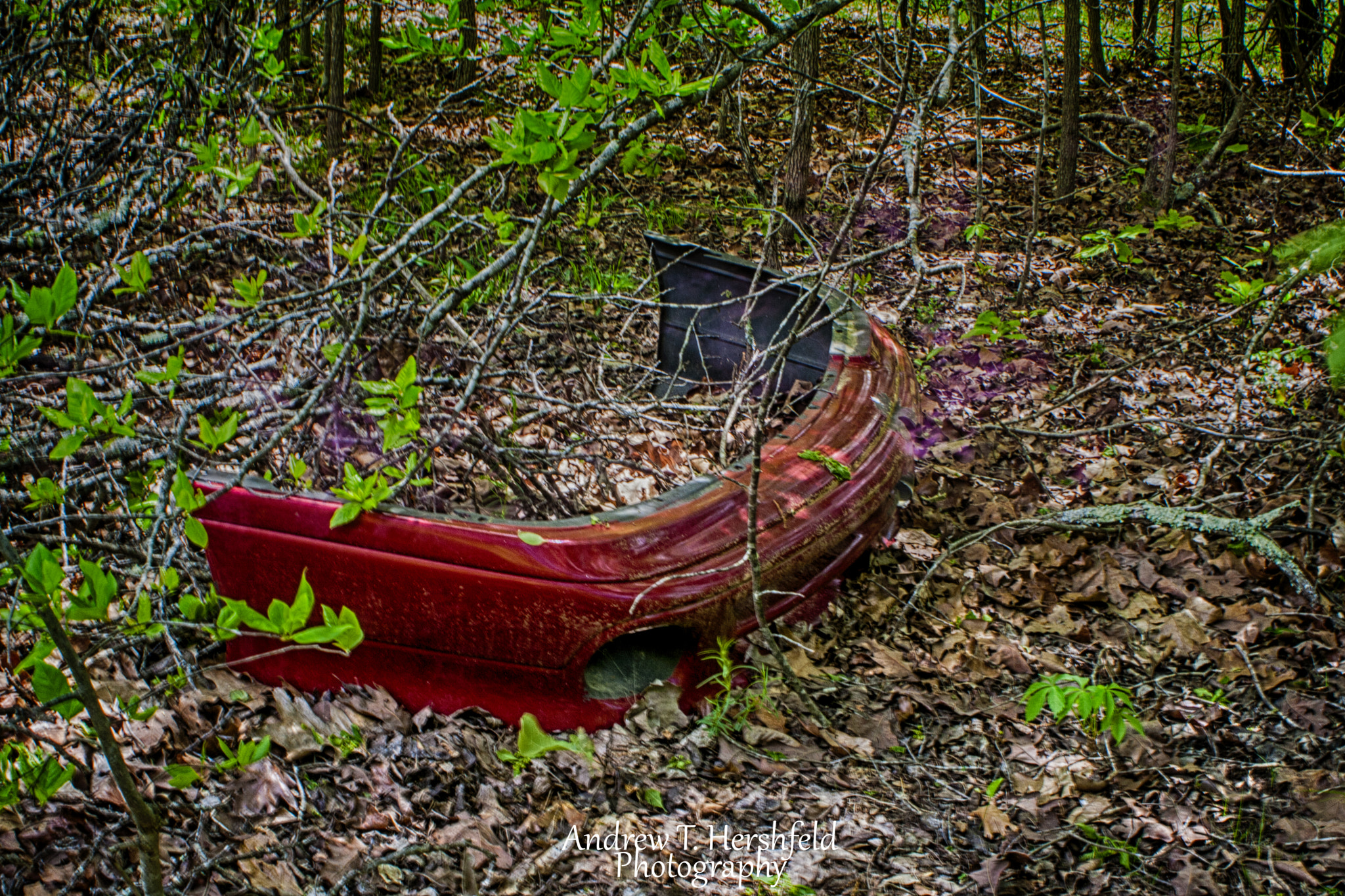 Canon EF 28-80mm f/3.5-5.6 sample photo. Front bumper photography
