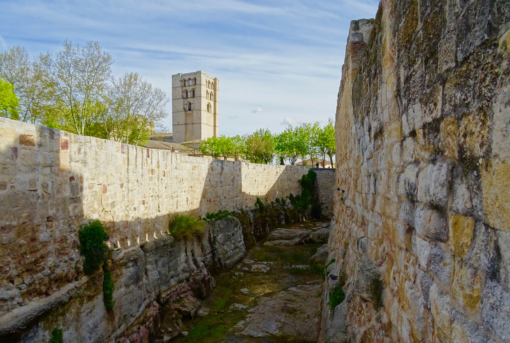 Sony 24-720mm F3.5-6.3 sample photo. Zamora. photography