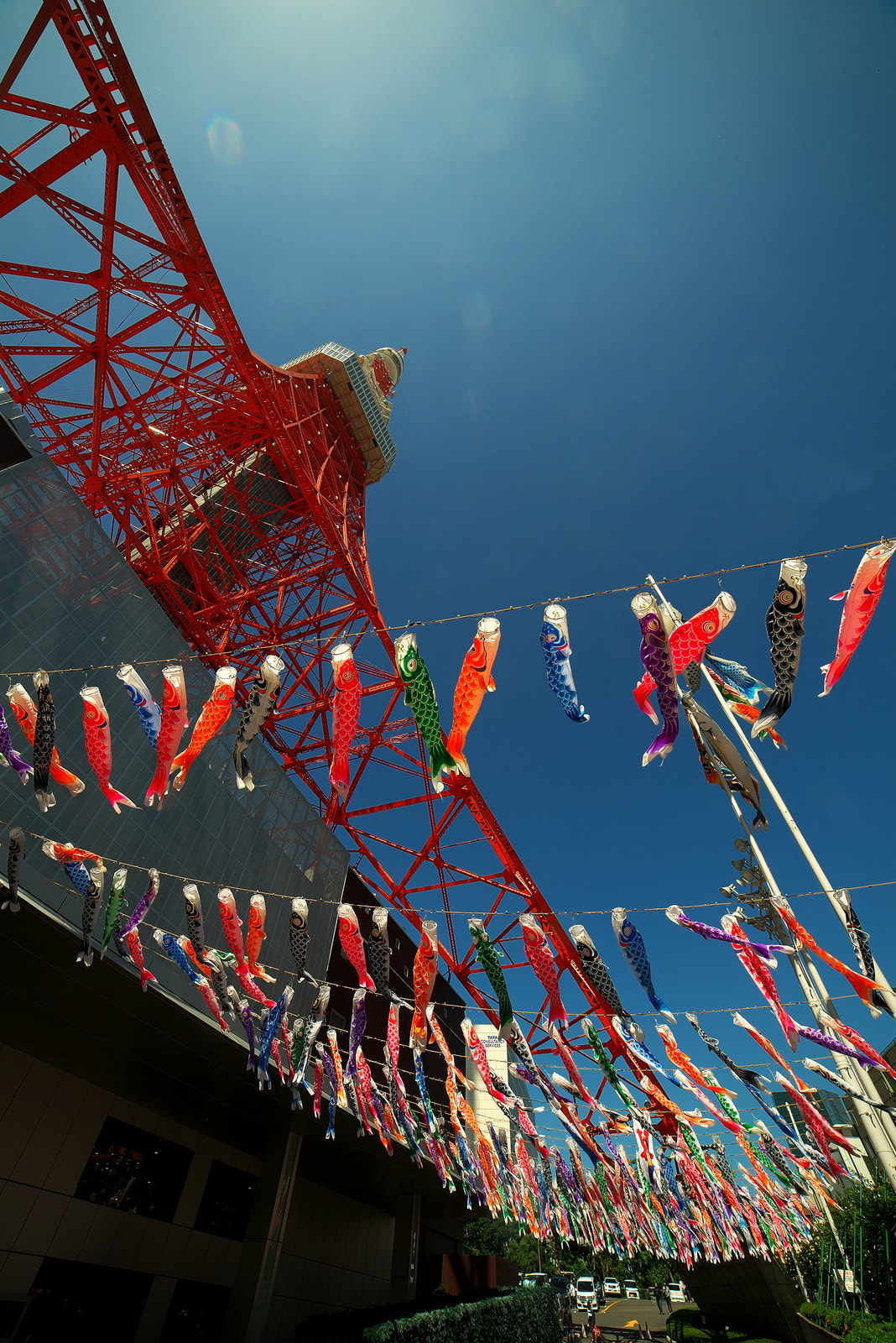 Nikon D600 sample photo. 子供の日 photography