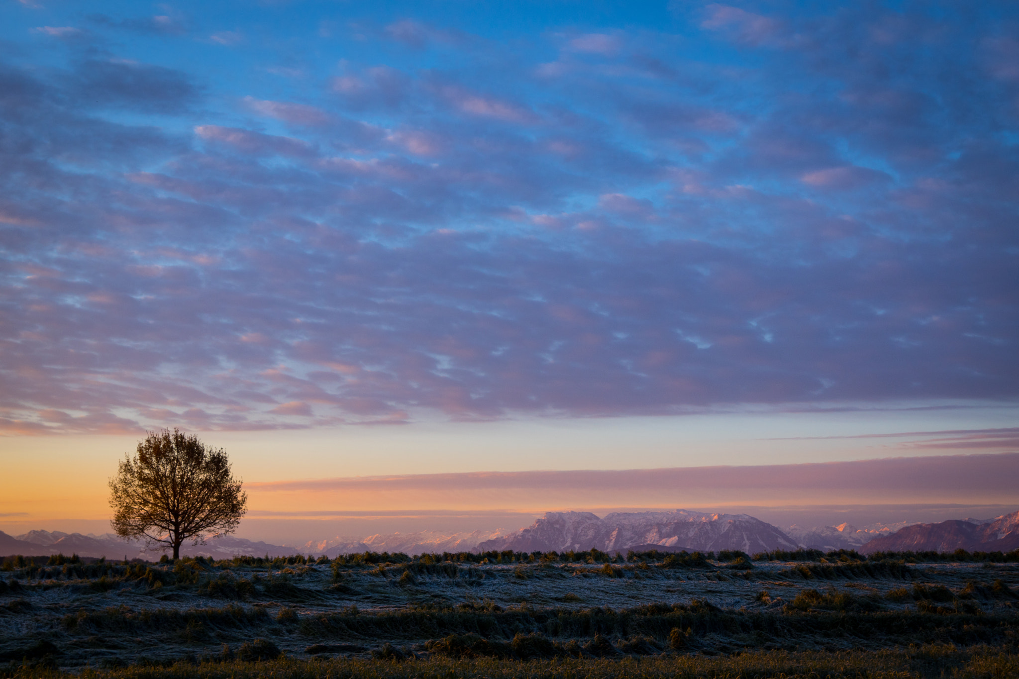 Sony SLT-A68 sample photo. Morning glory photography